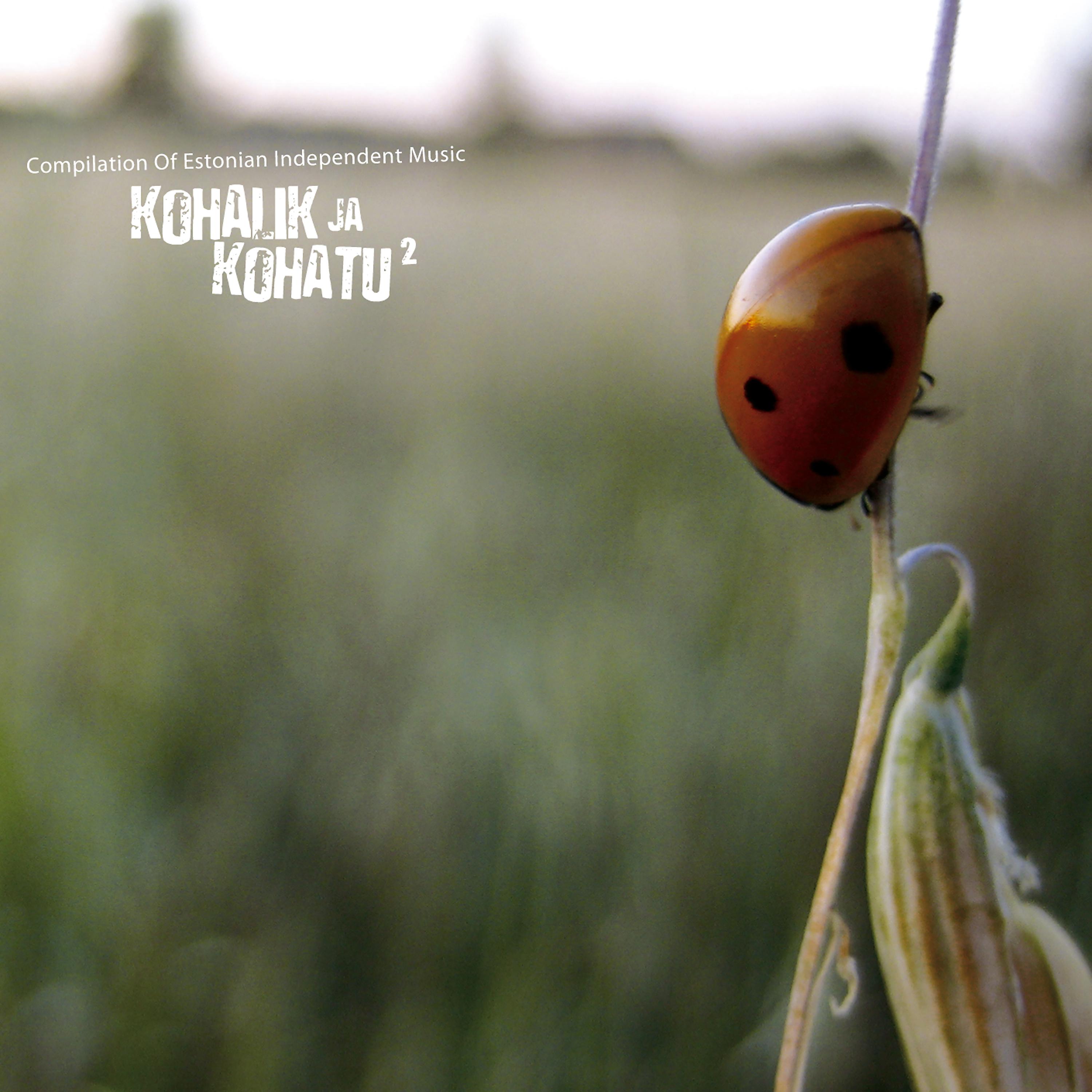 Постер альбома Kohalik Ja Kohatu 2 (Compilation Of Estonian Independent Music)