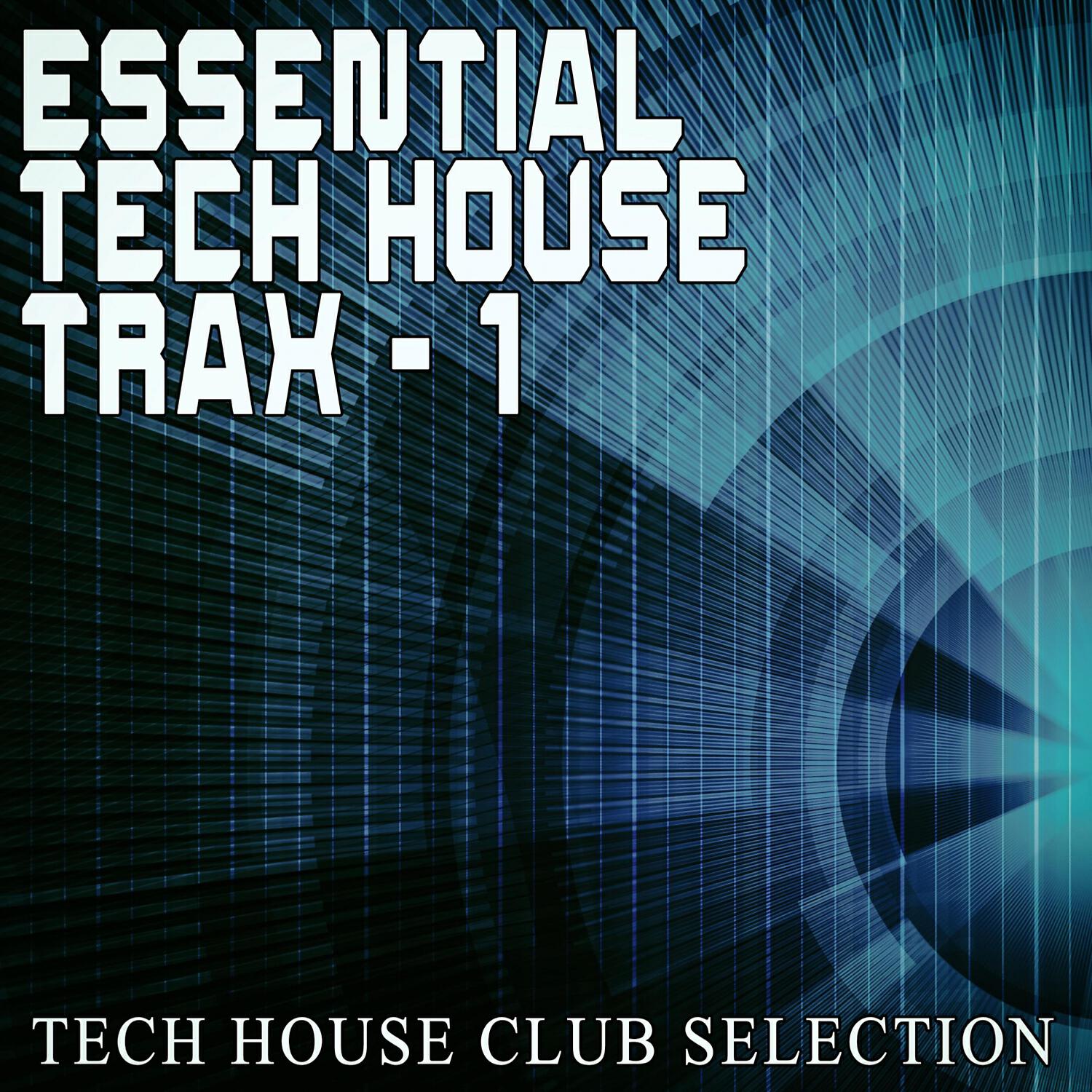 Ema Buck - Squalid Action (Robert Mondaine Mix)