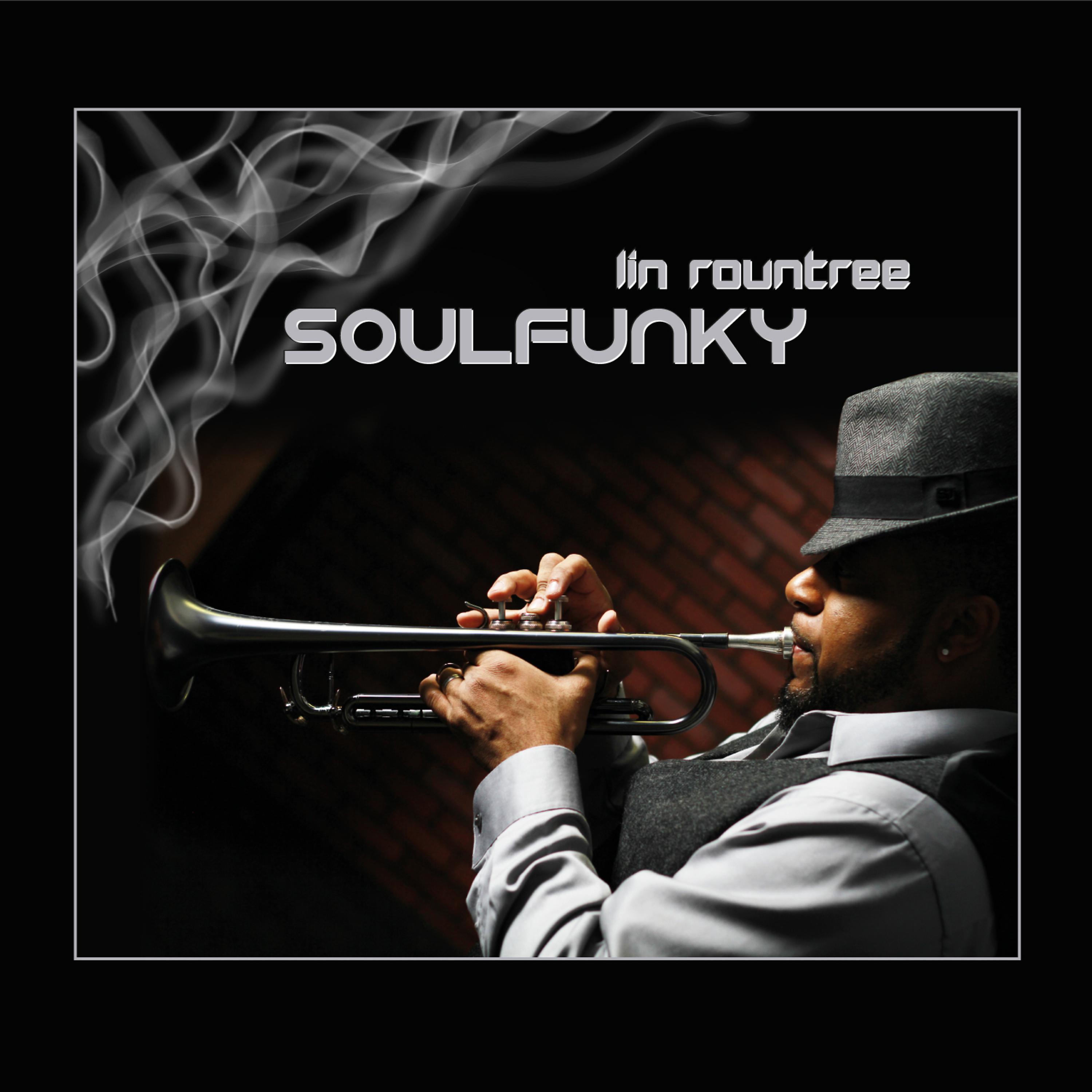 Постер альбома Soulfunky