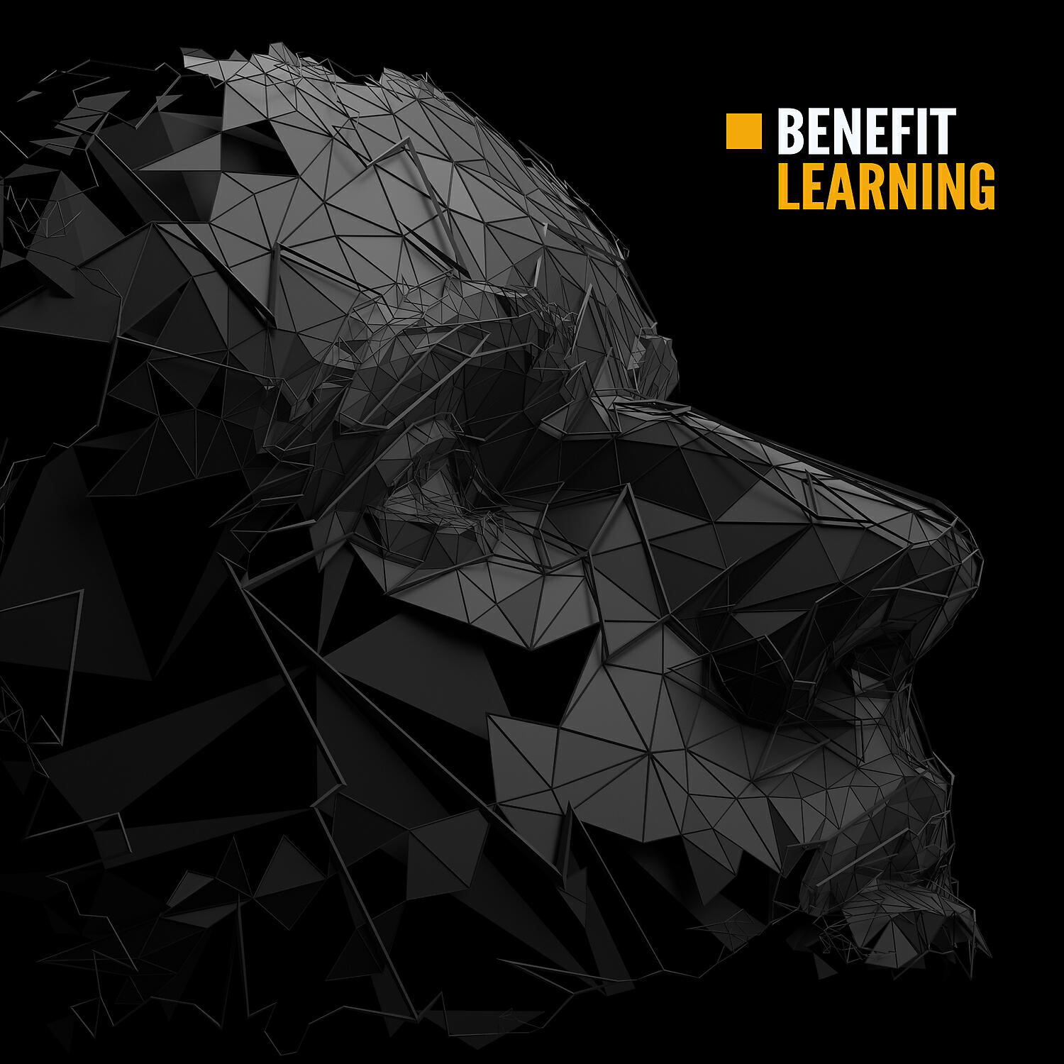 Exam Study Music Academy - Open Mind to New Knowledge