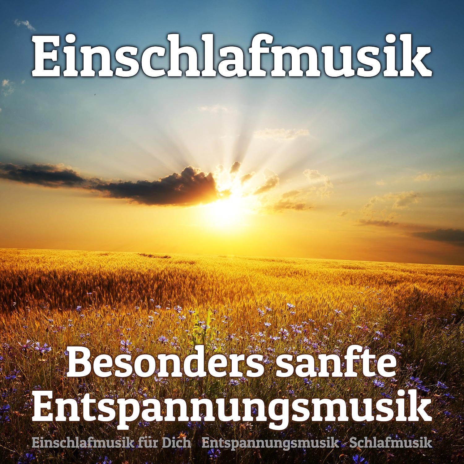 Постер альбома Einschlafmusik - Besonders sanfte Entspannungsmusik