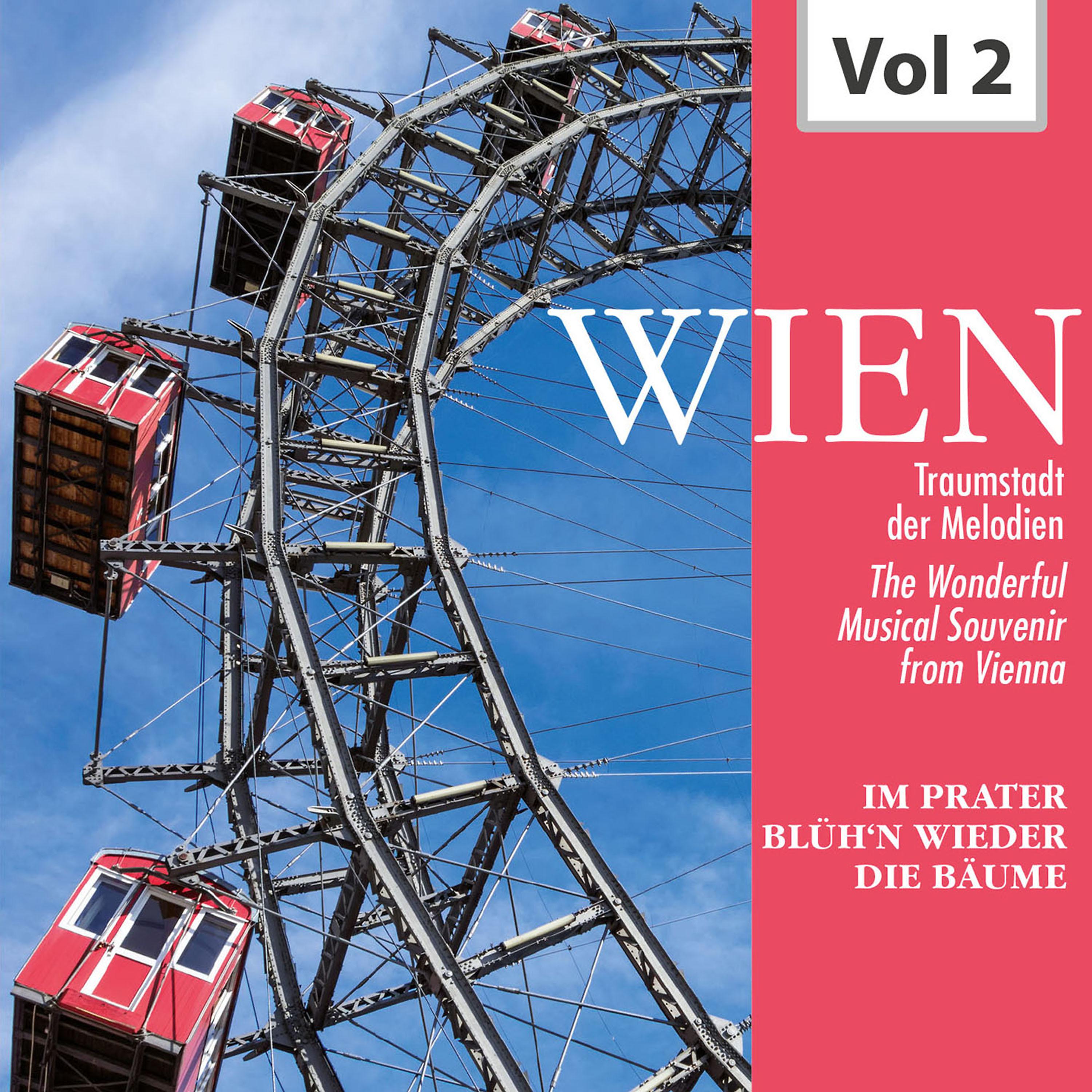 Постер альбома Wien - Traumstadt der Melodien, Vol. 2