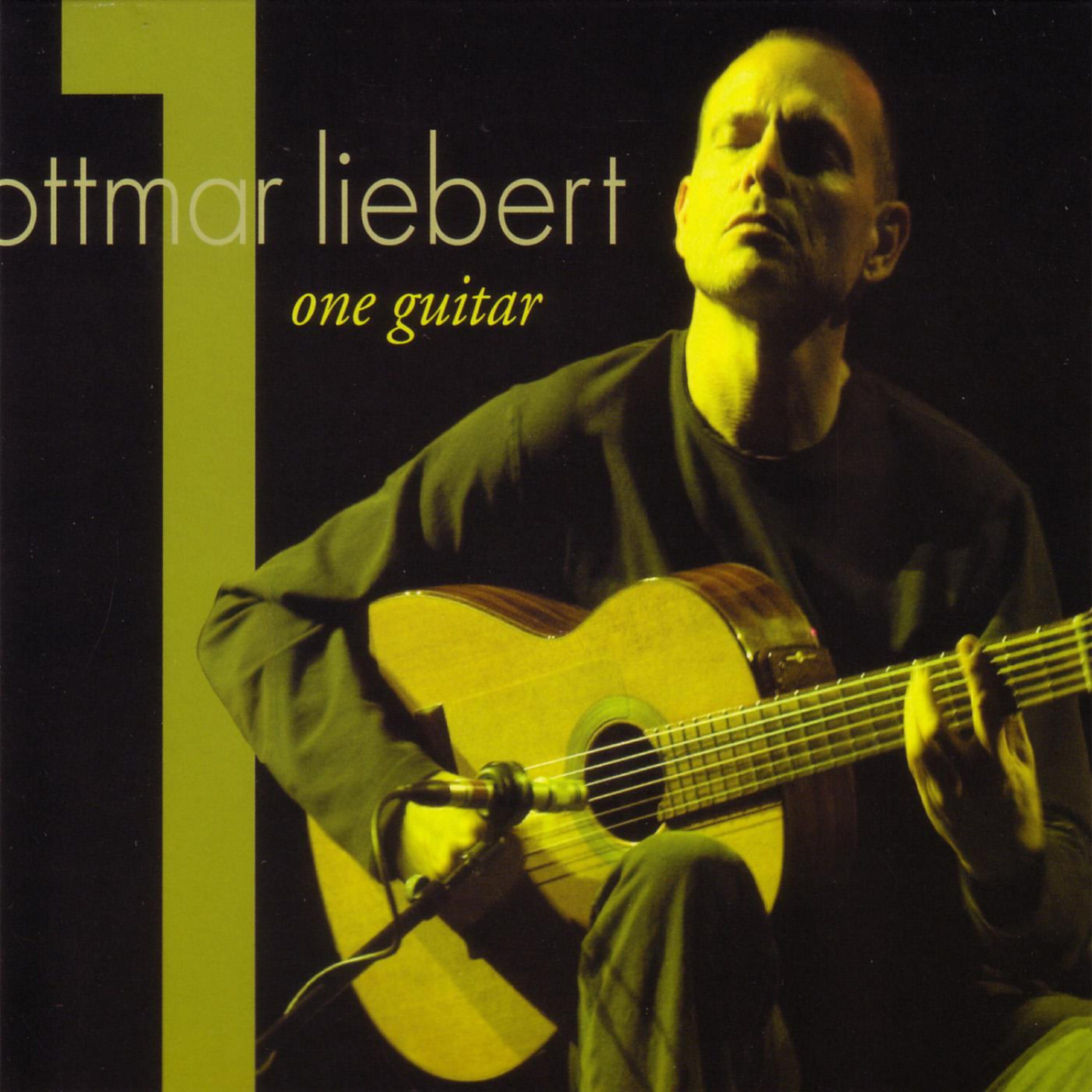 Ottmar Liebert - We Begin Again, Again (Moments in Time)