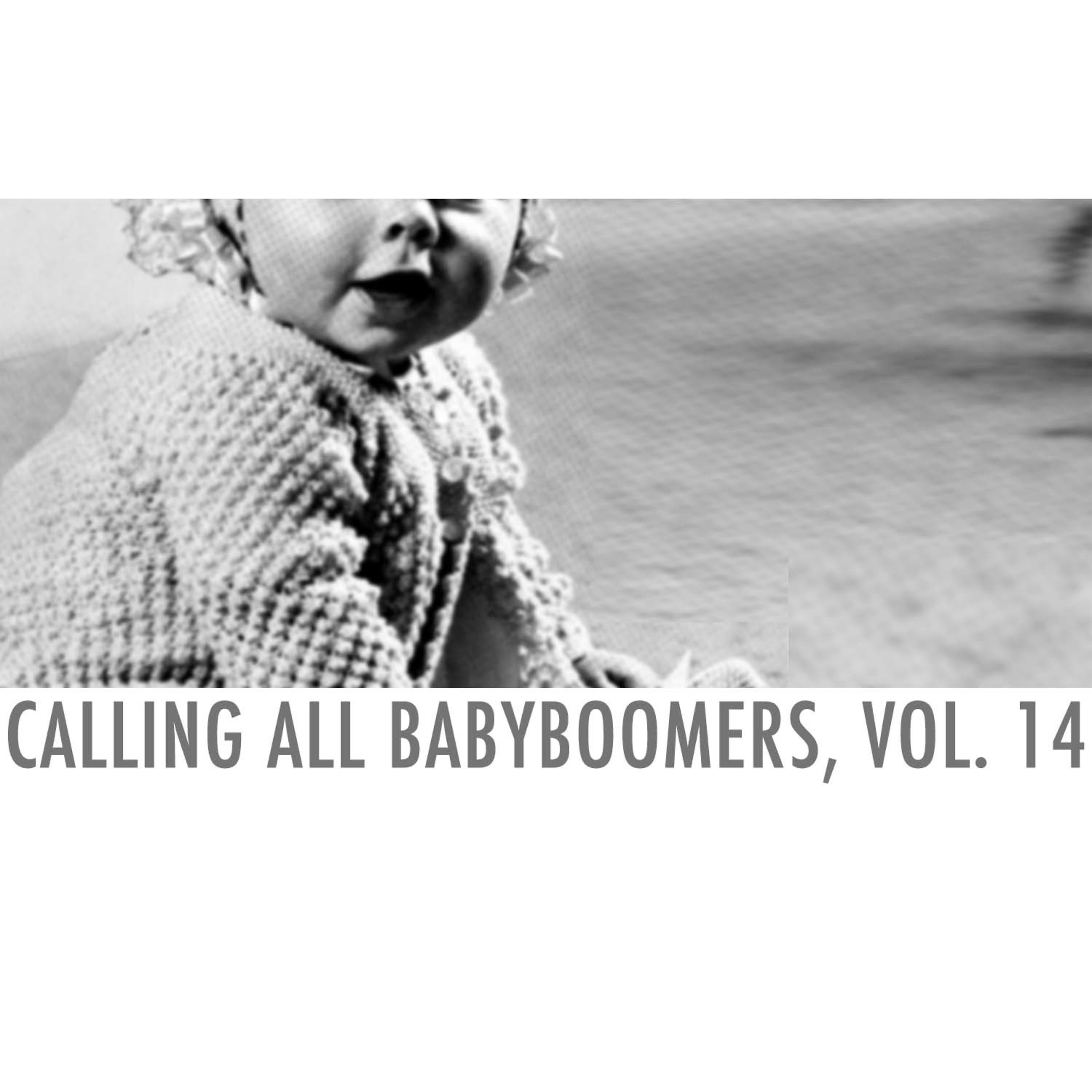 Постер альбома Calling All Babyboomers, Vol. 14
