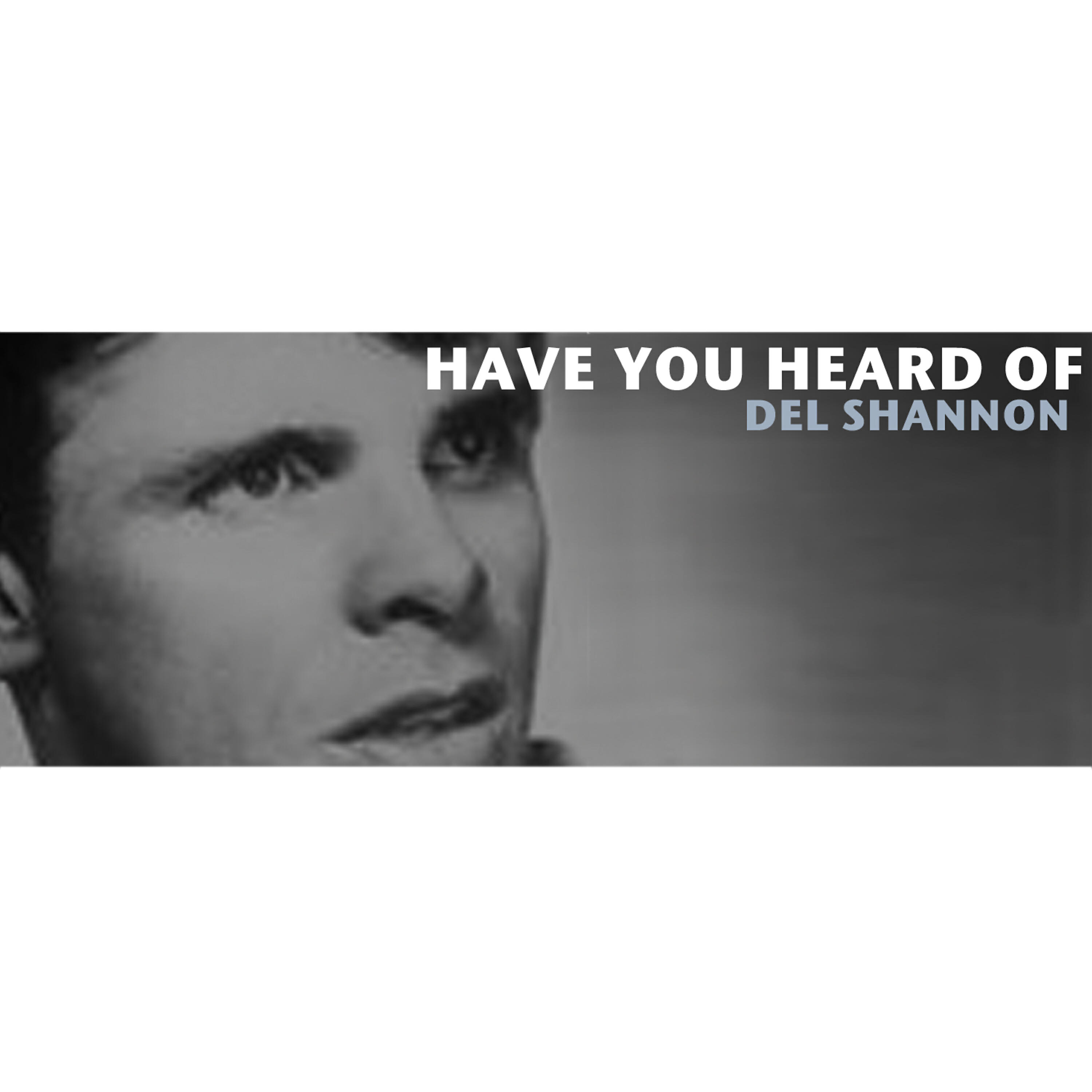 Del Shannon - Daydreams