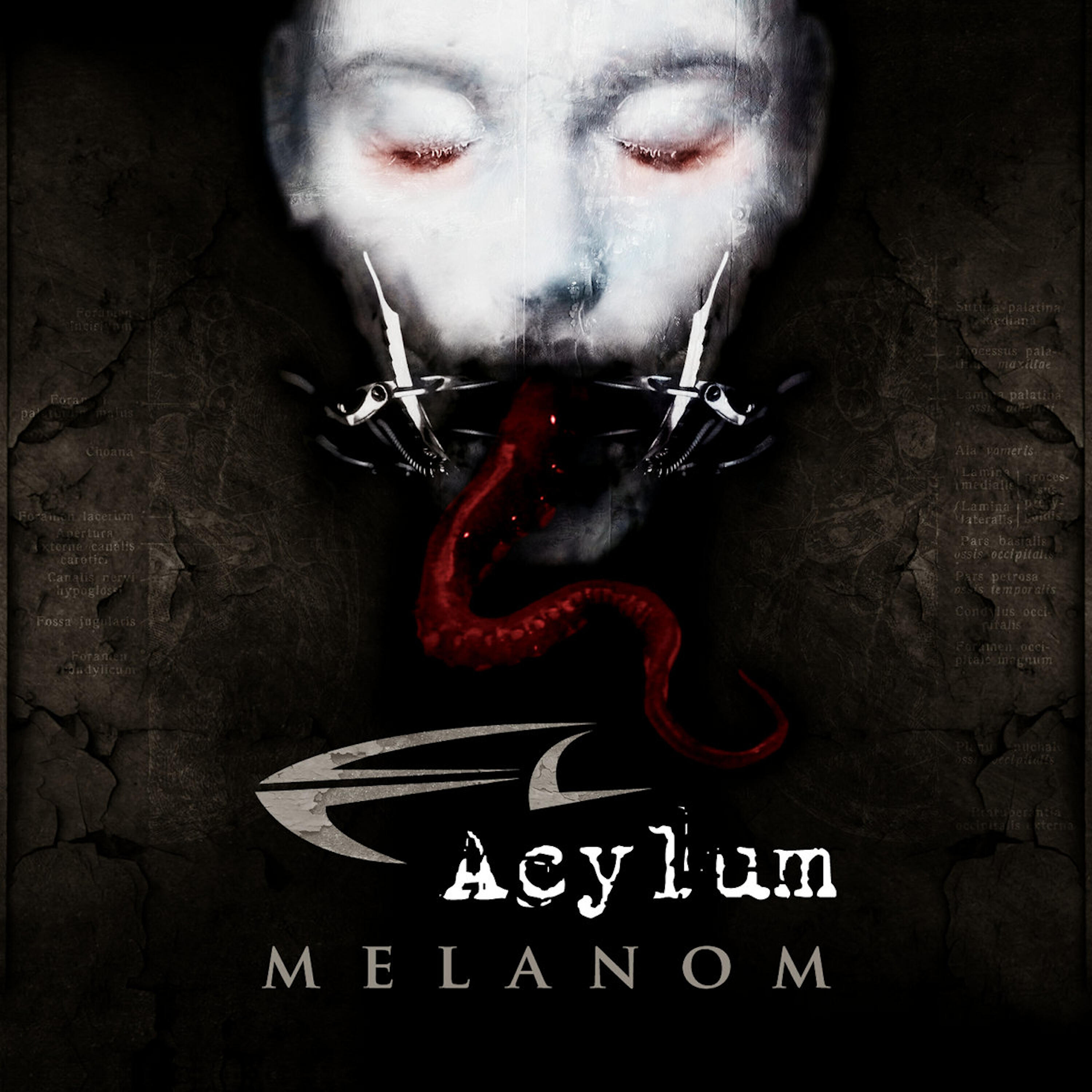 Acylum - Shoot em Up (Heatbeat Remix by Sandblasting)