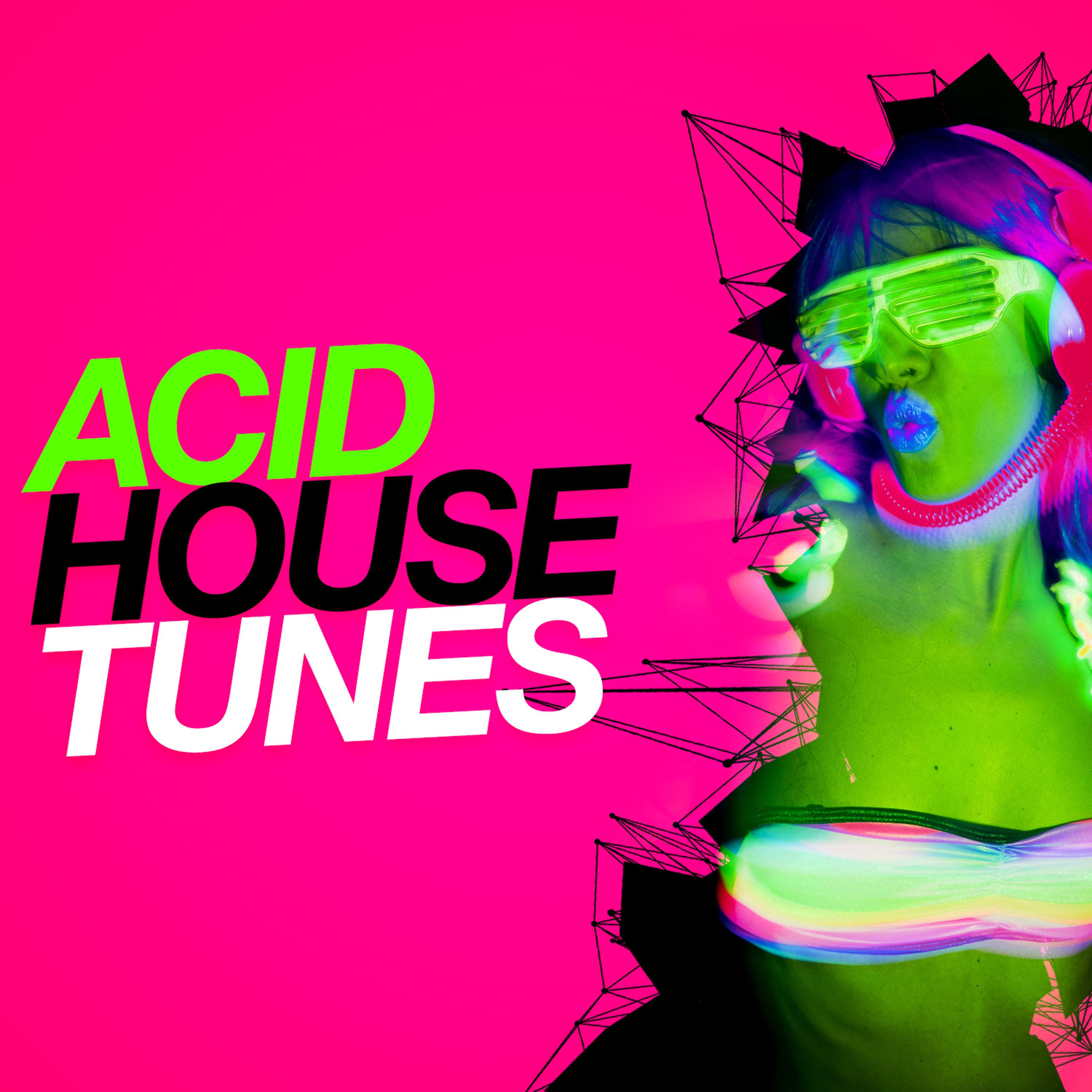 Постер альбома Acid House Tunes