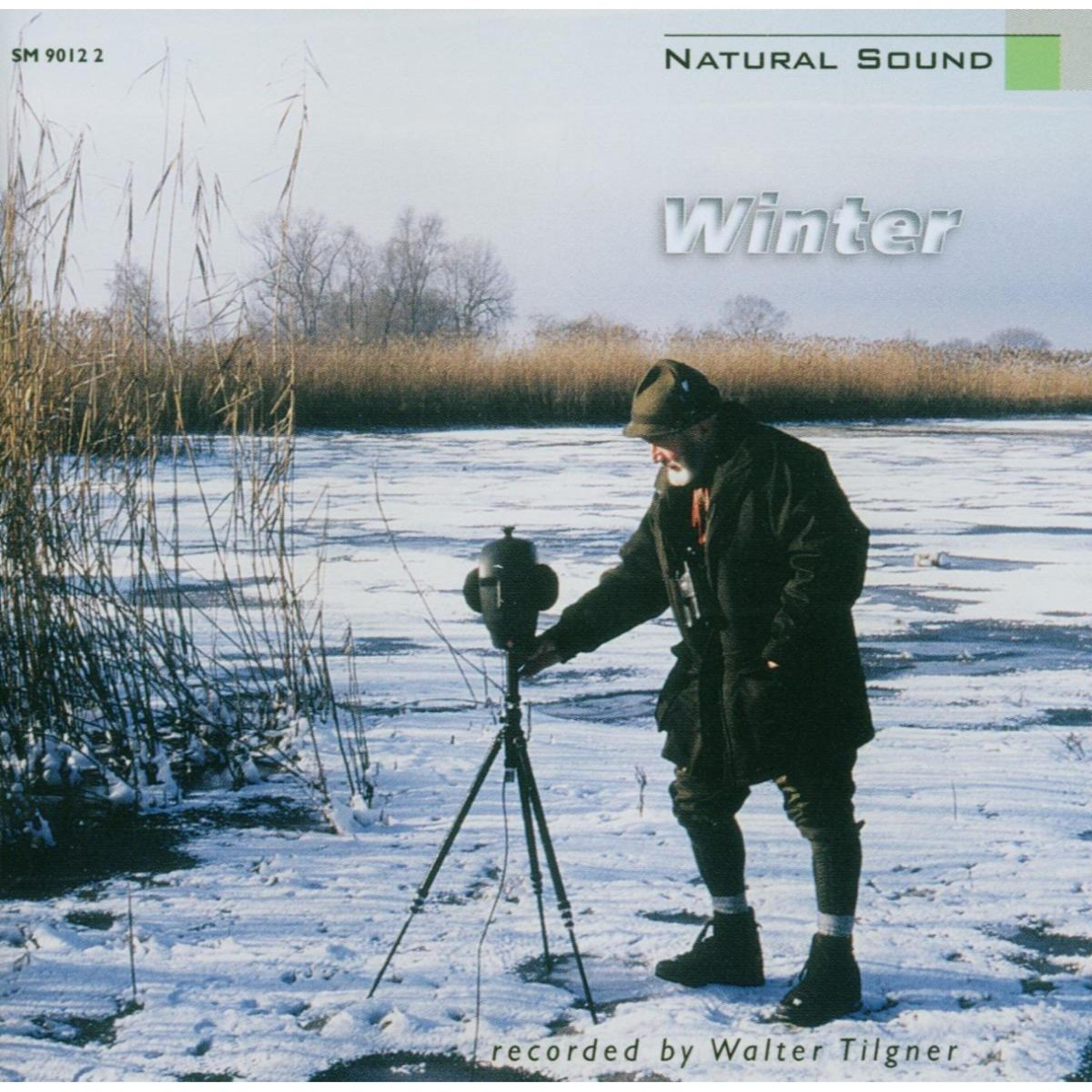 Постер альбома Natural Sound: Winter am Bodensee / Winter at Lake Constance