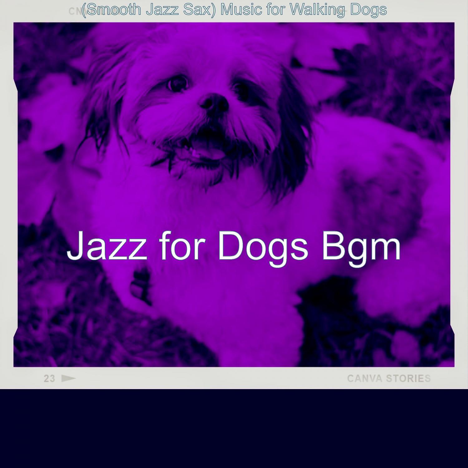 Постер альбома (Smooth Jazz Sax) Music for Walking Dogs