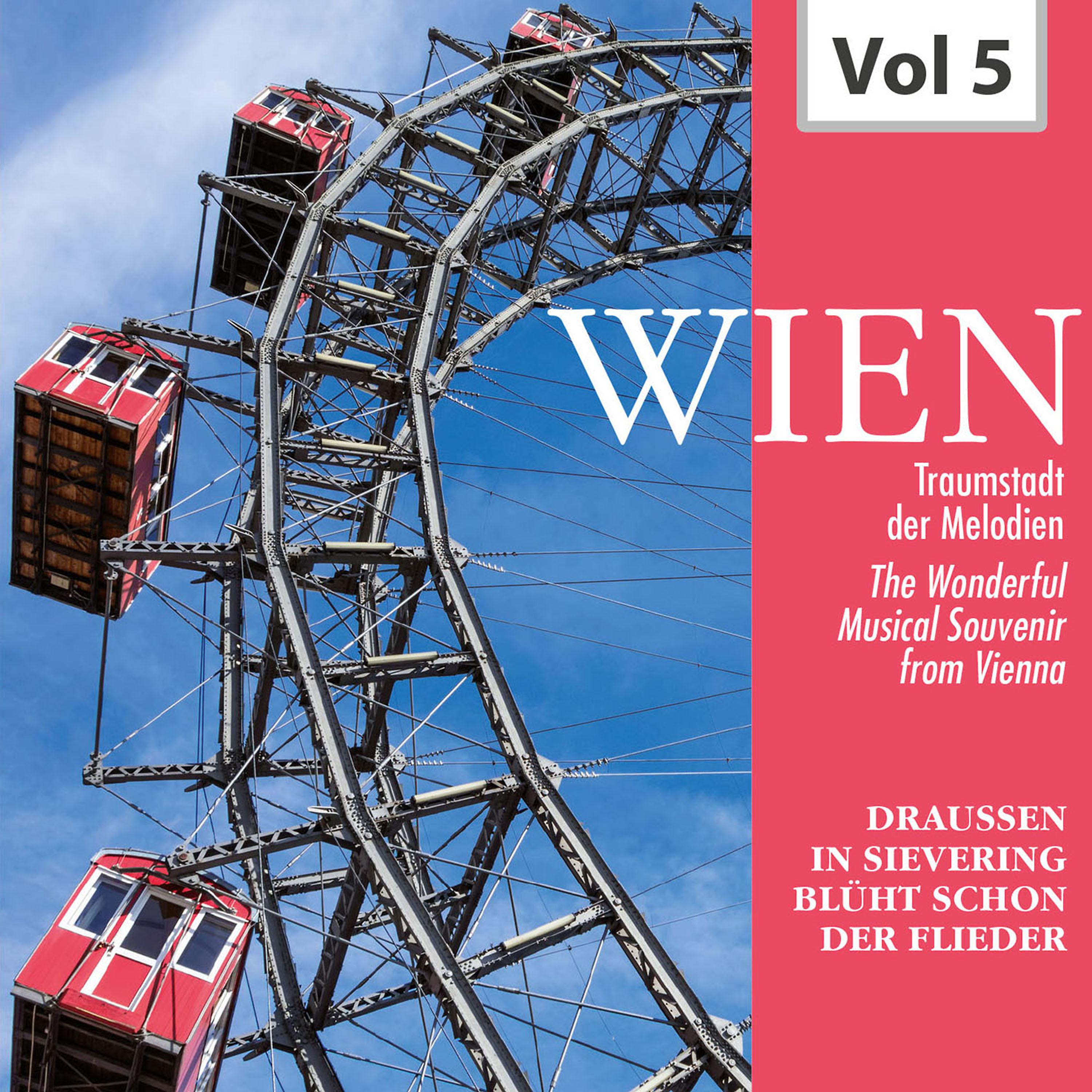 Постер альбома Wien - Traumstadt der Melodien, Vol. 5
