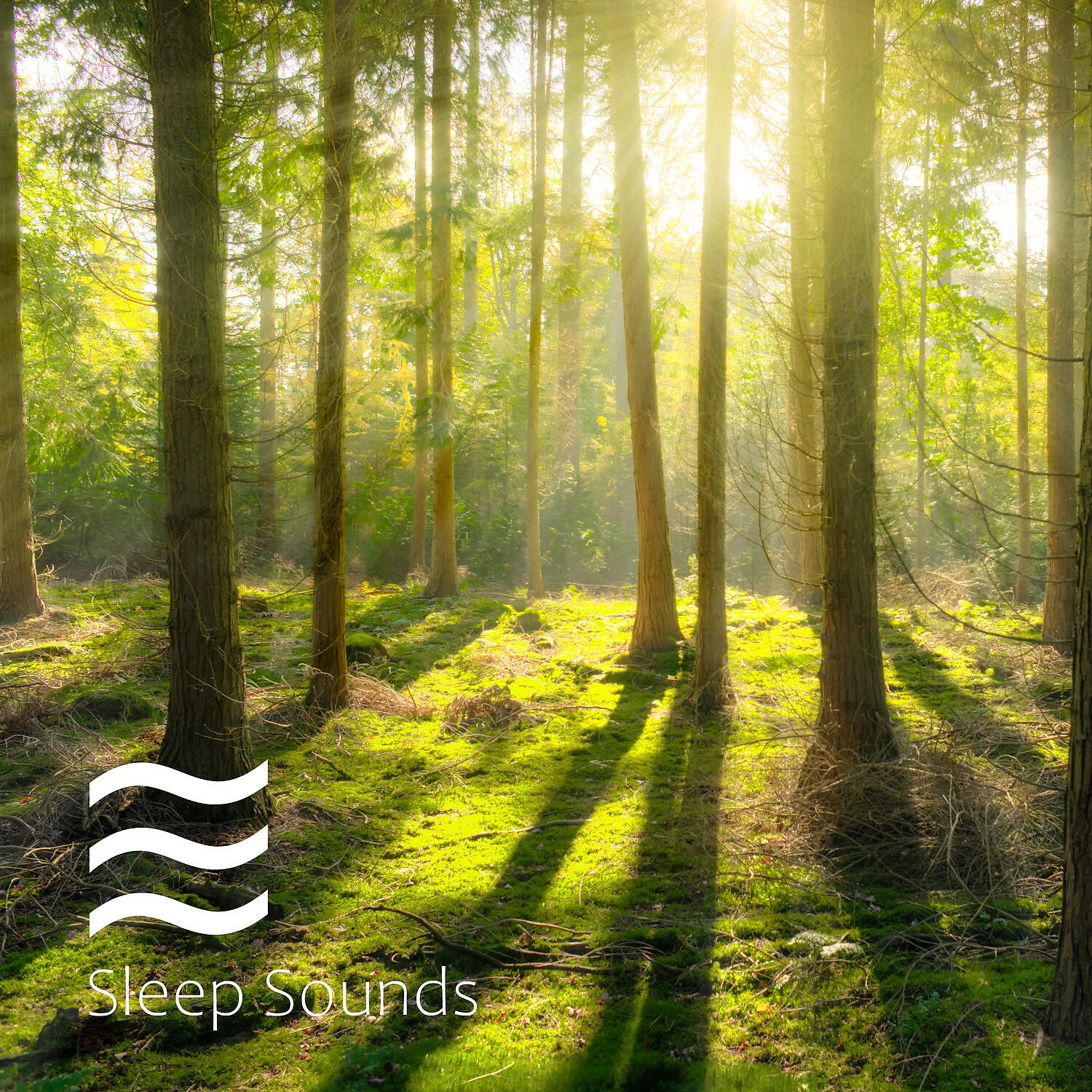 Serene Sounds of Rain - Composed Deep Rain Noises