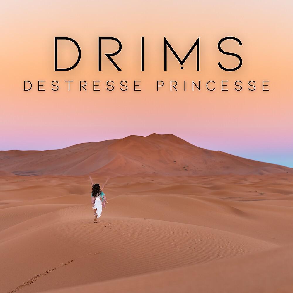 Постер альбома Destresse princesse