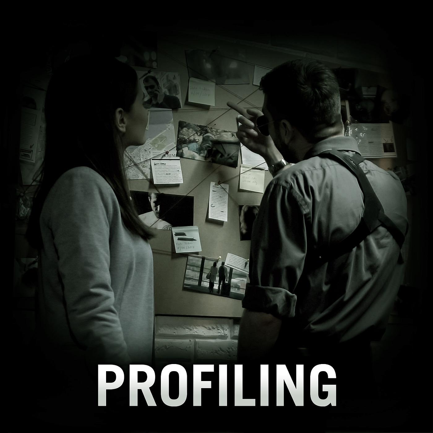 Постер альбома Profiling