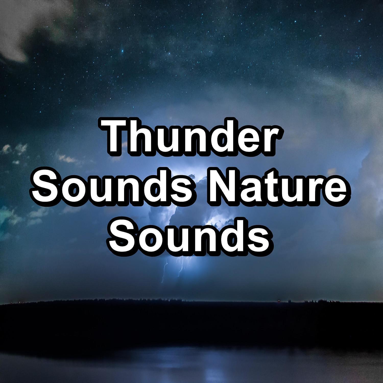 Nature Sounds ï¿½ Sons de la nature - Rain Sounds Storm To Help Your Baby Sleep