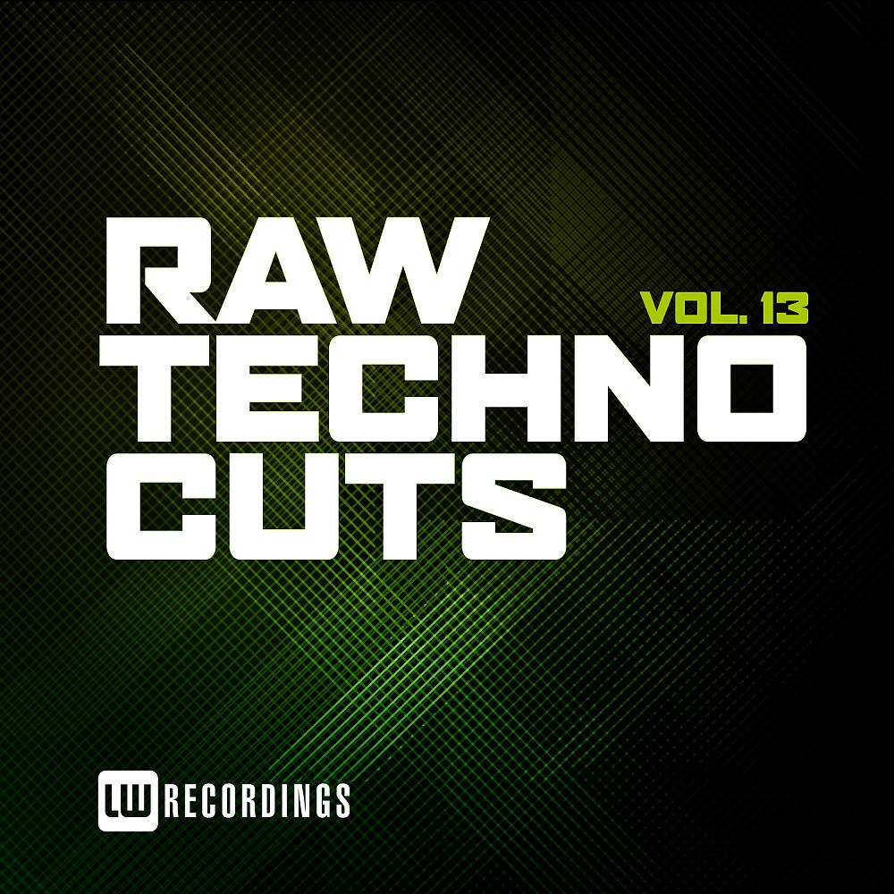 Постер альбома Raw Techno Cuts, Vol. 13