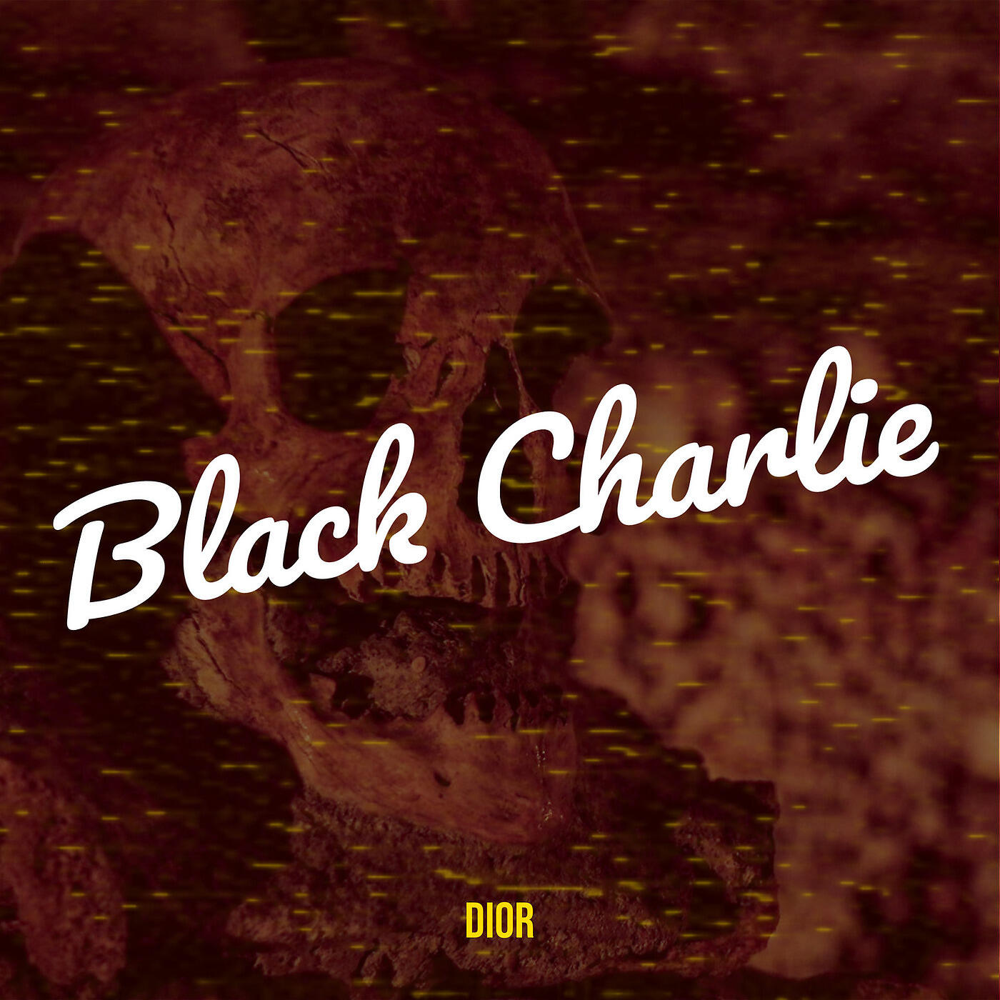 DIOR - Black Charlie