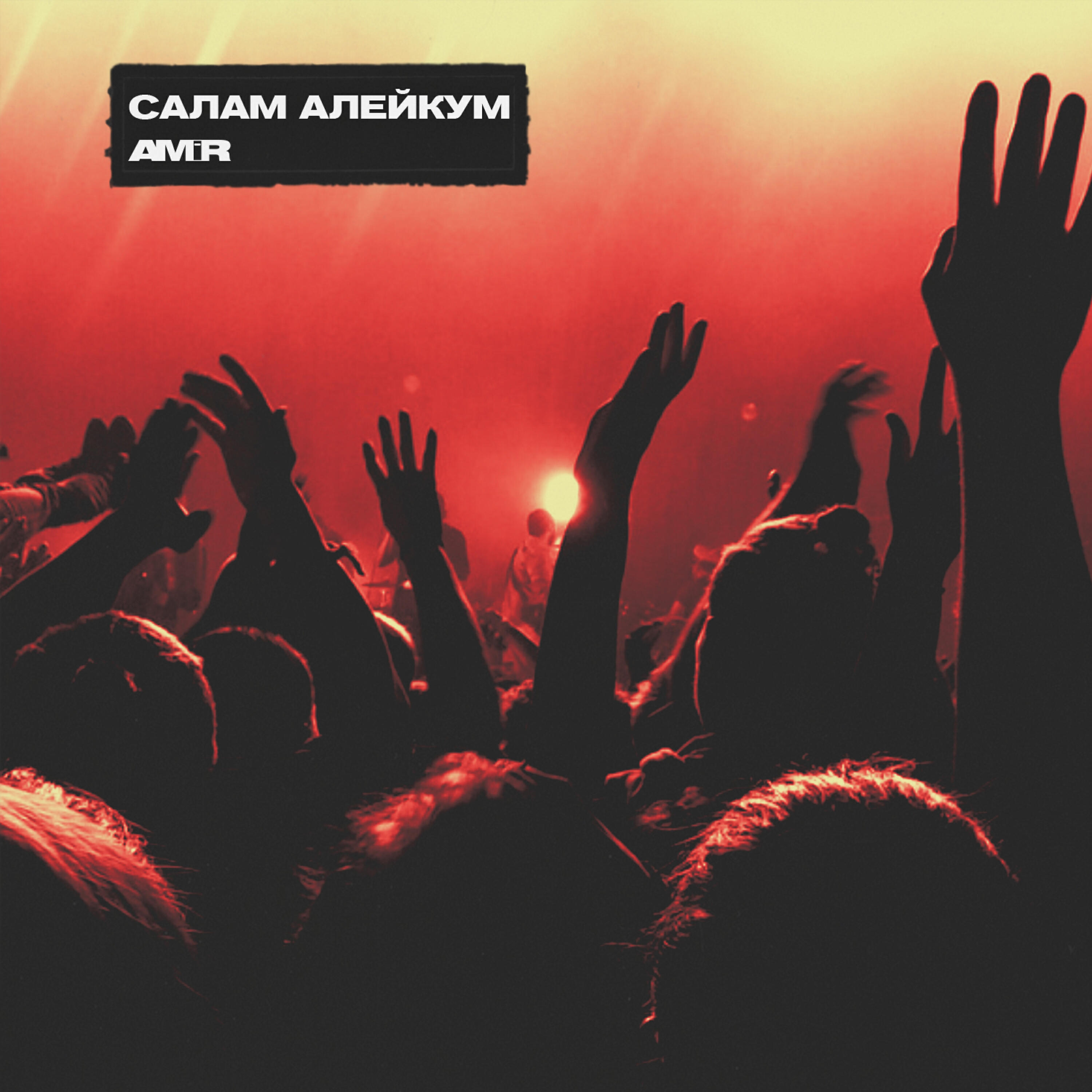 AMIR - Салам алейкум