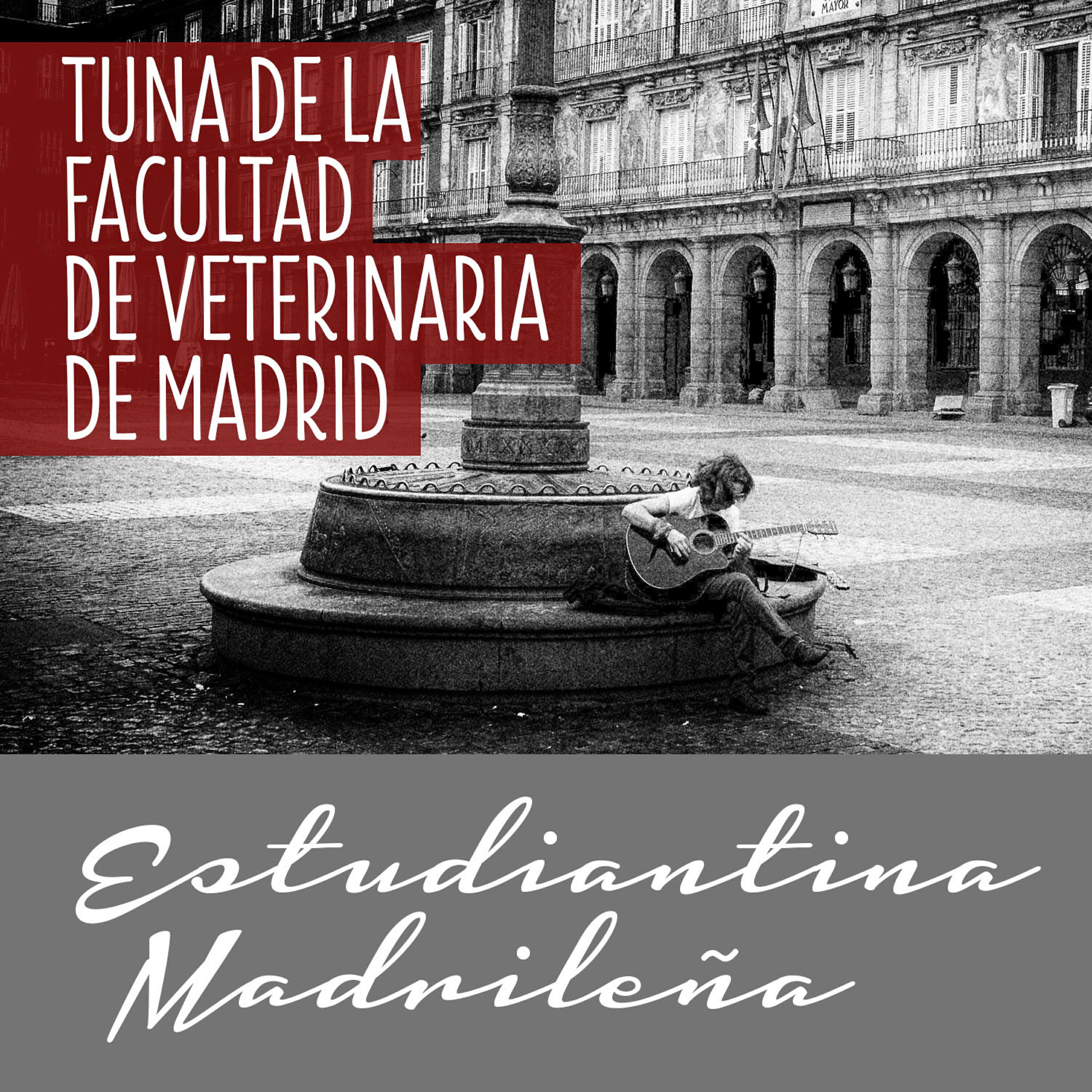 Tuna De La Facultad De Veterinaria De Madrid - Estudiantina Madrileña