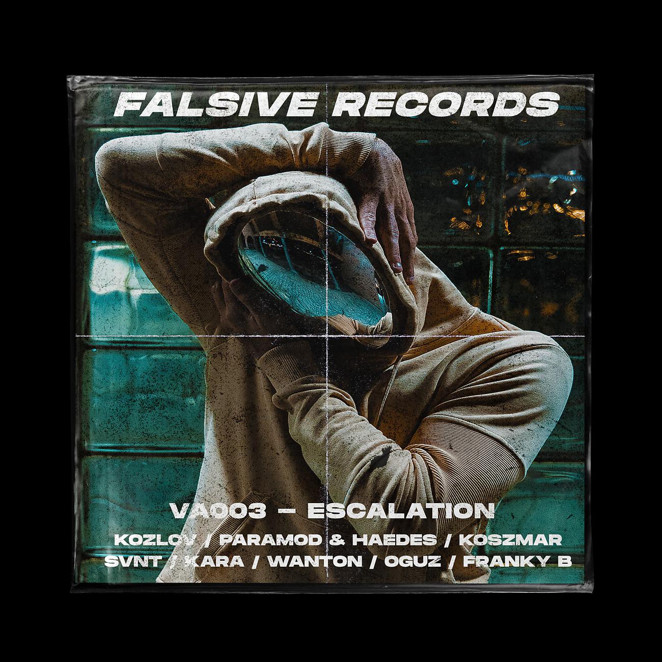 Постер альбома Falsive Records VA003