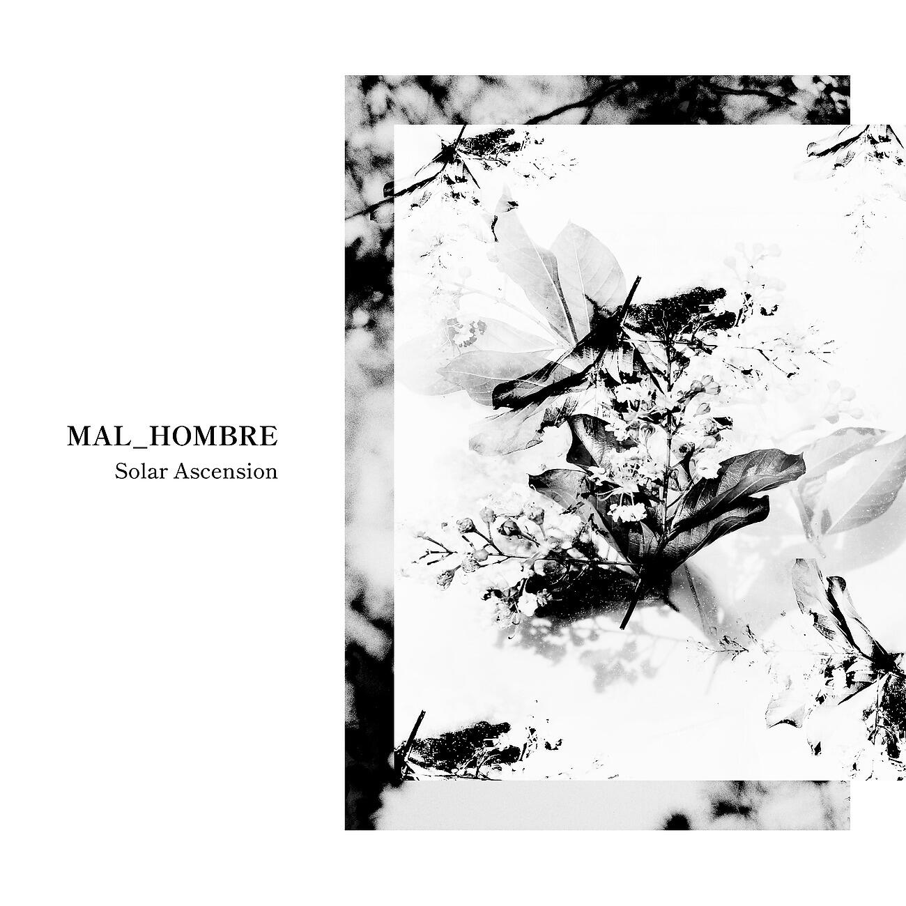 Mal_Hombre - Lunar Shadow