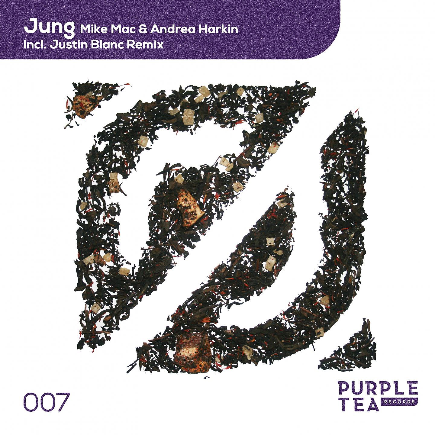 Mike Mac - Jung