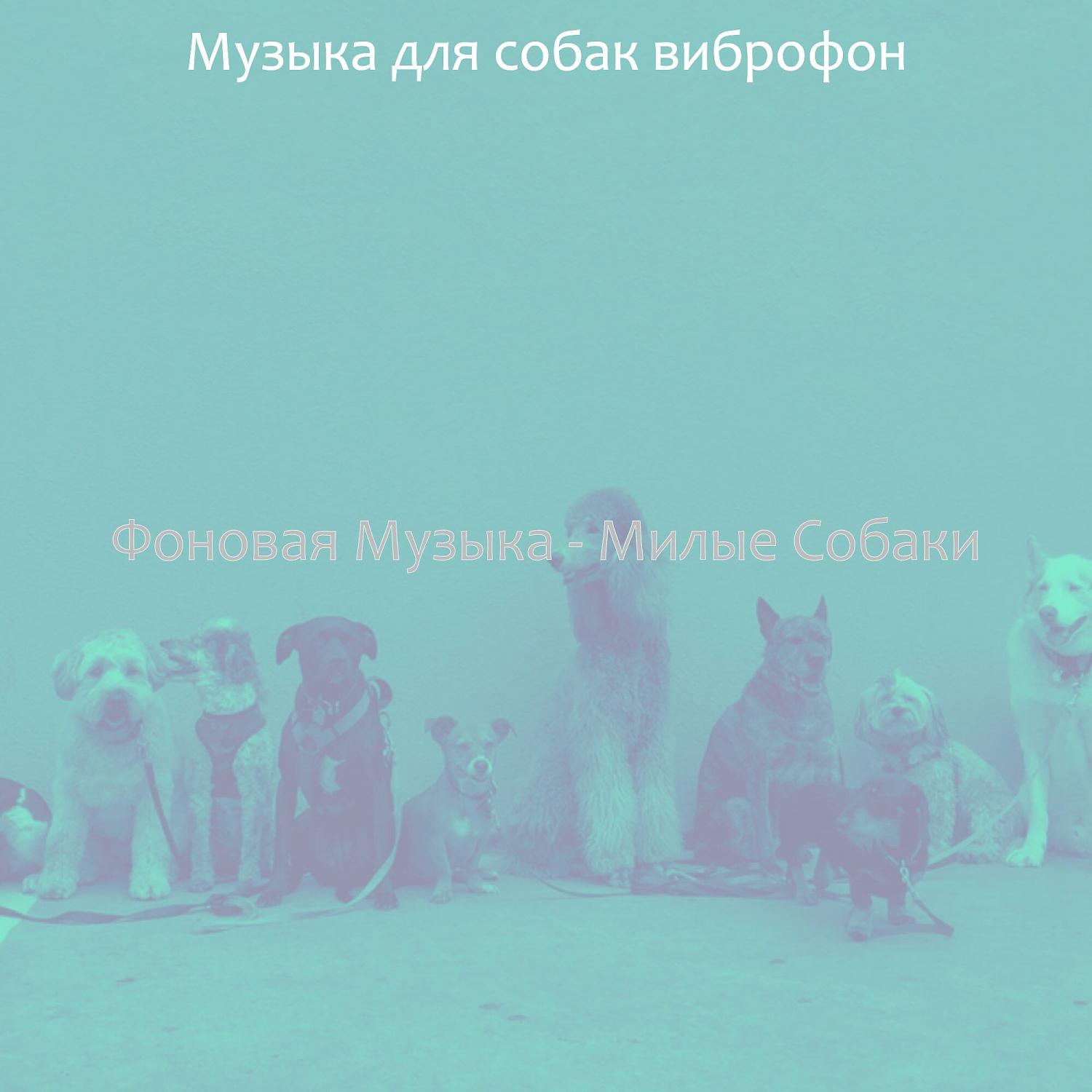 Постер альбома Фоновая Музыка - Милые Собаки