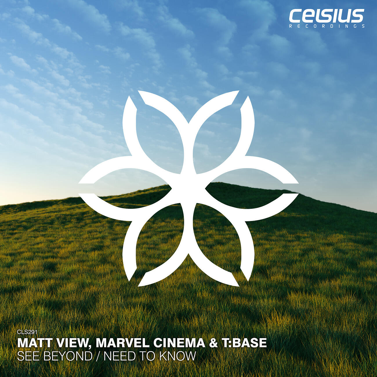 Matt View - Need To Know