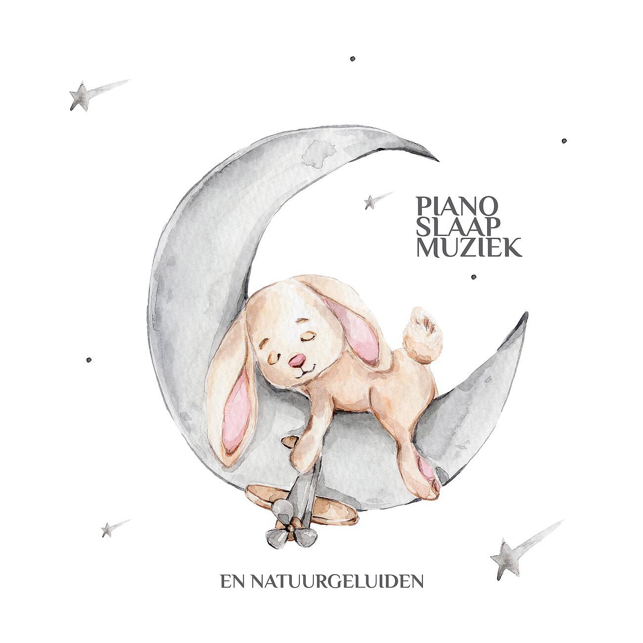 Best Sleep Music Academy - Baby Slaap Geluiden