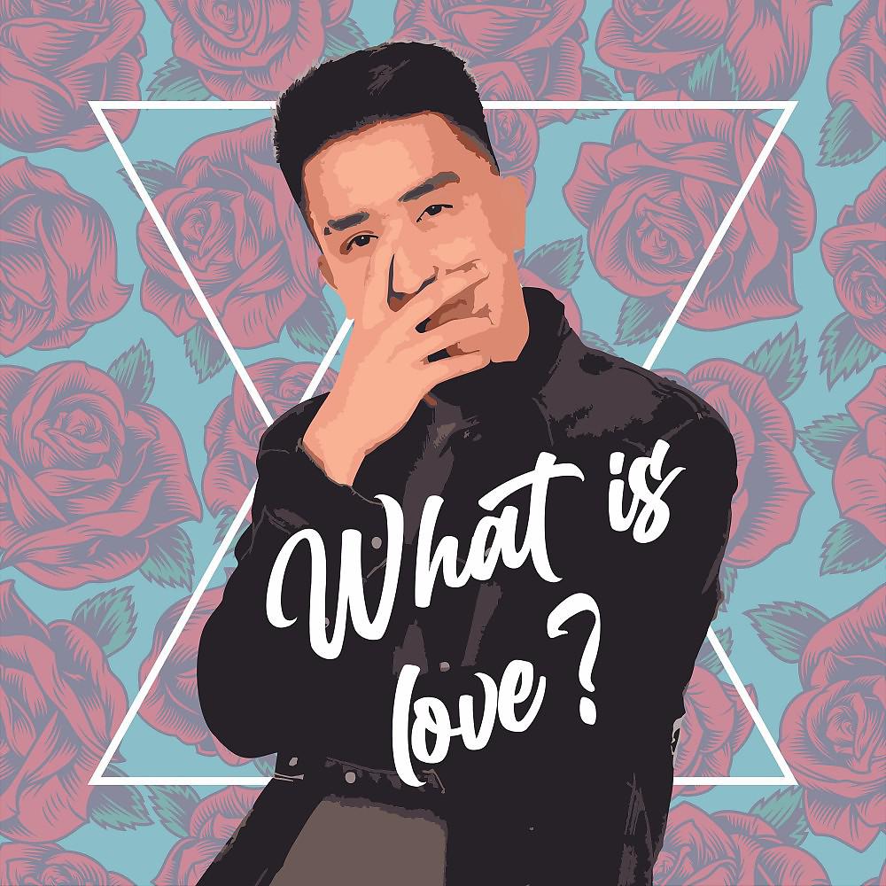 Постер альбома What Is Love (Remix)