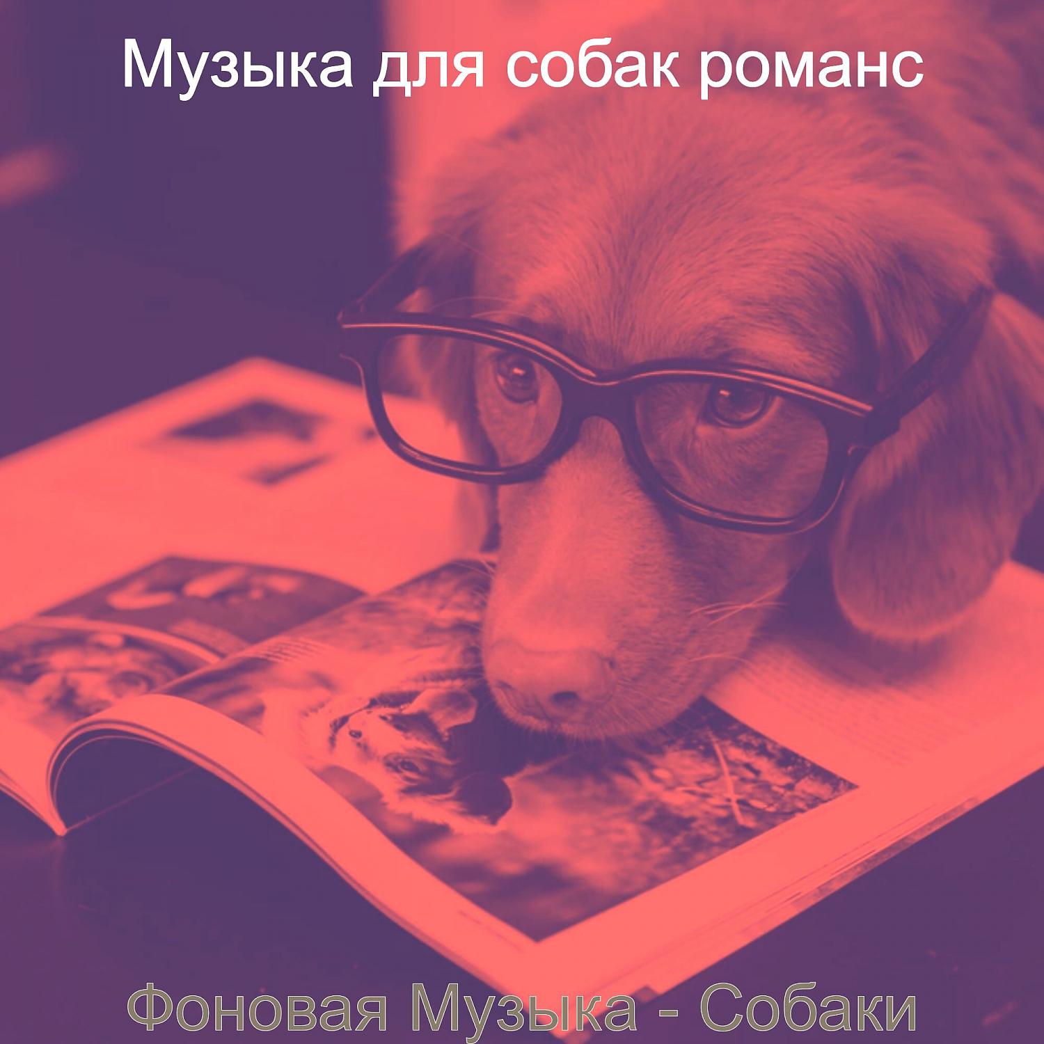 Постер альбома Фоновая Музыка - Собаки