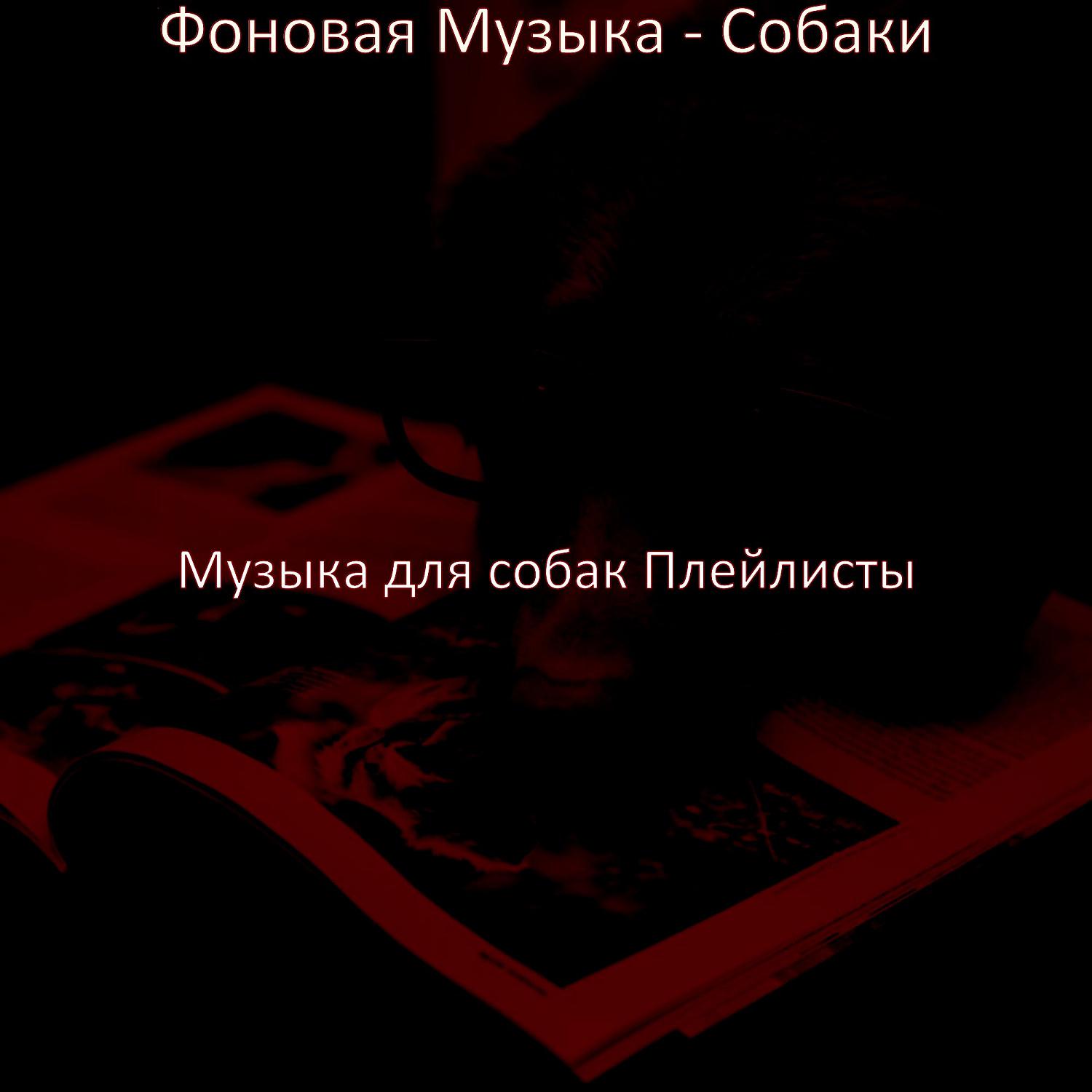 Постер альбома Фоновая Музыка - Собаки