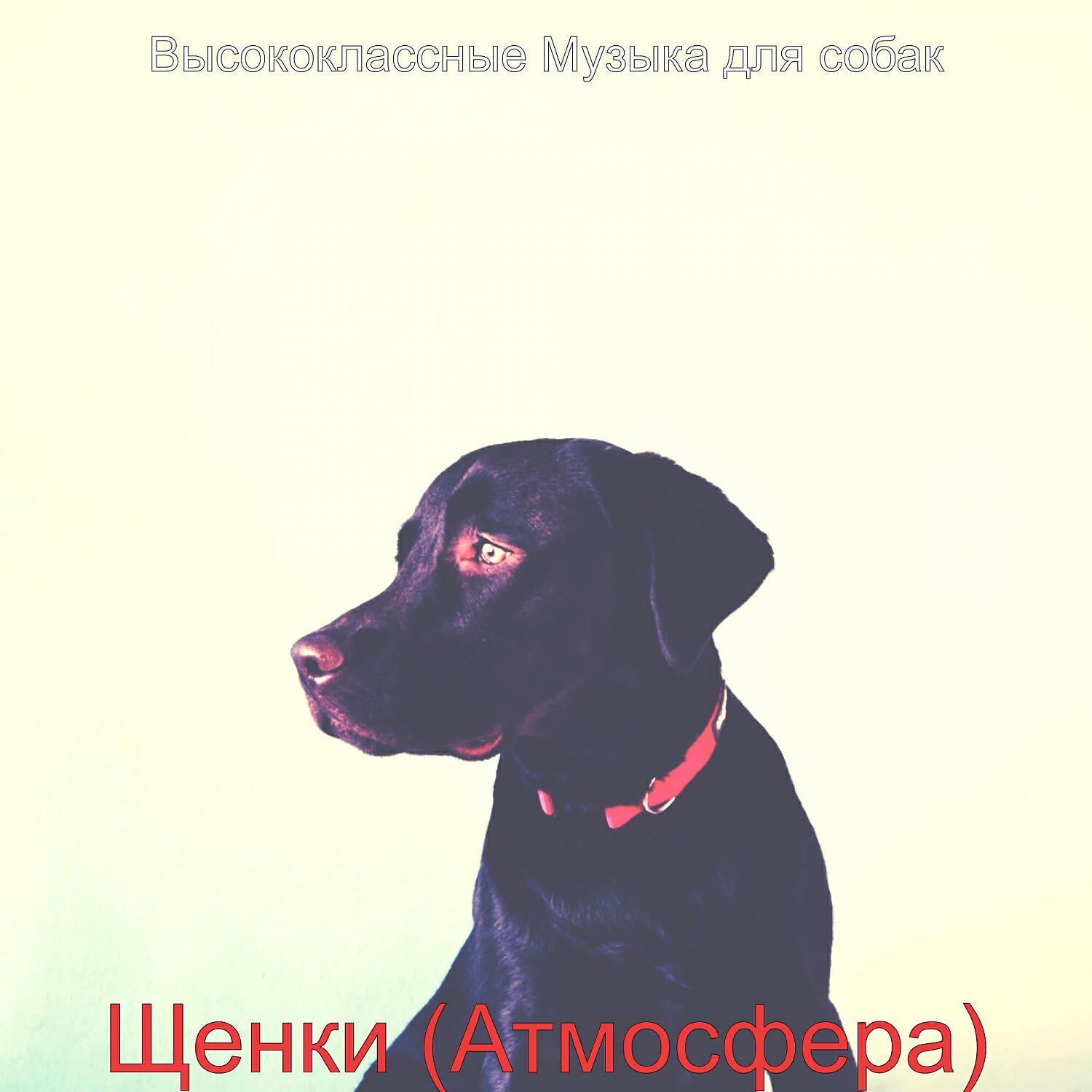 Альбом Щенки (Атмосфера) исполнителя Высококлассные Музыка для собак