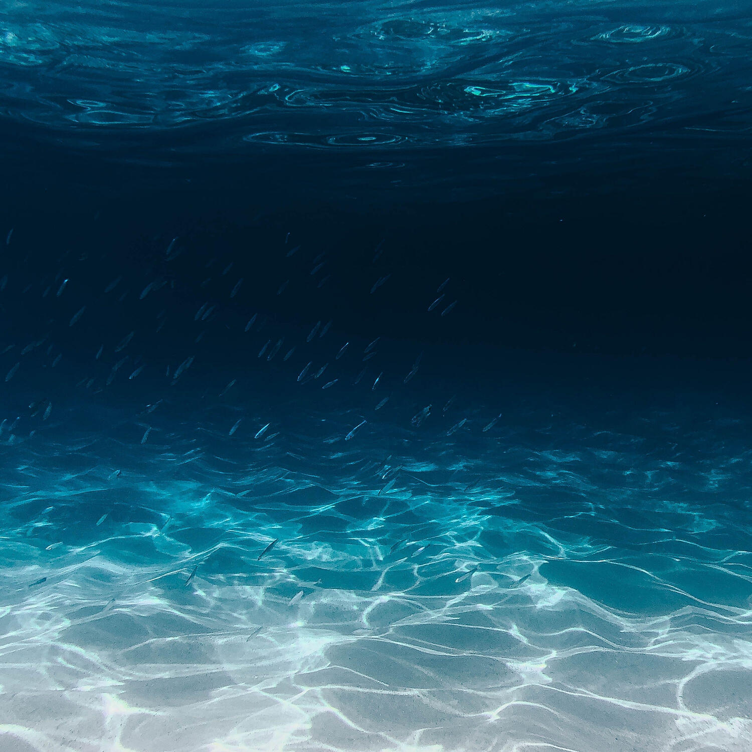 Ocean Sounds FX - Calming Ocean and Wave Sounds, Pt. 5
