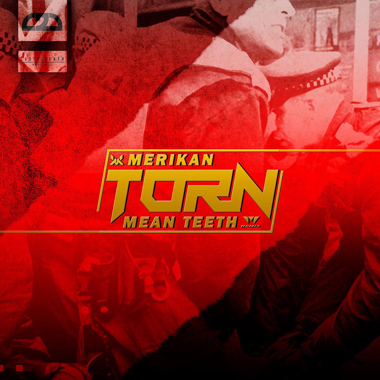 Merikan - Torn (Mean Teeth remix)