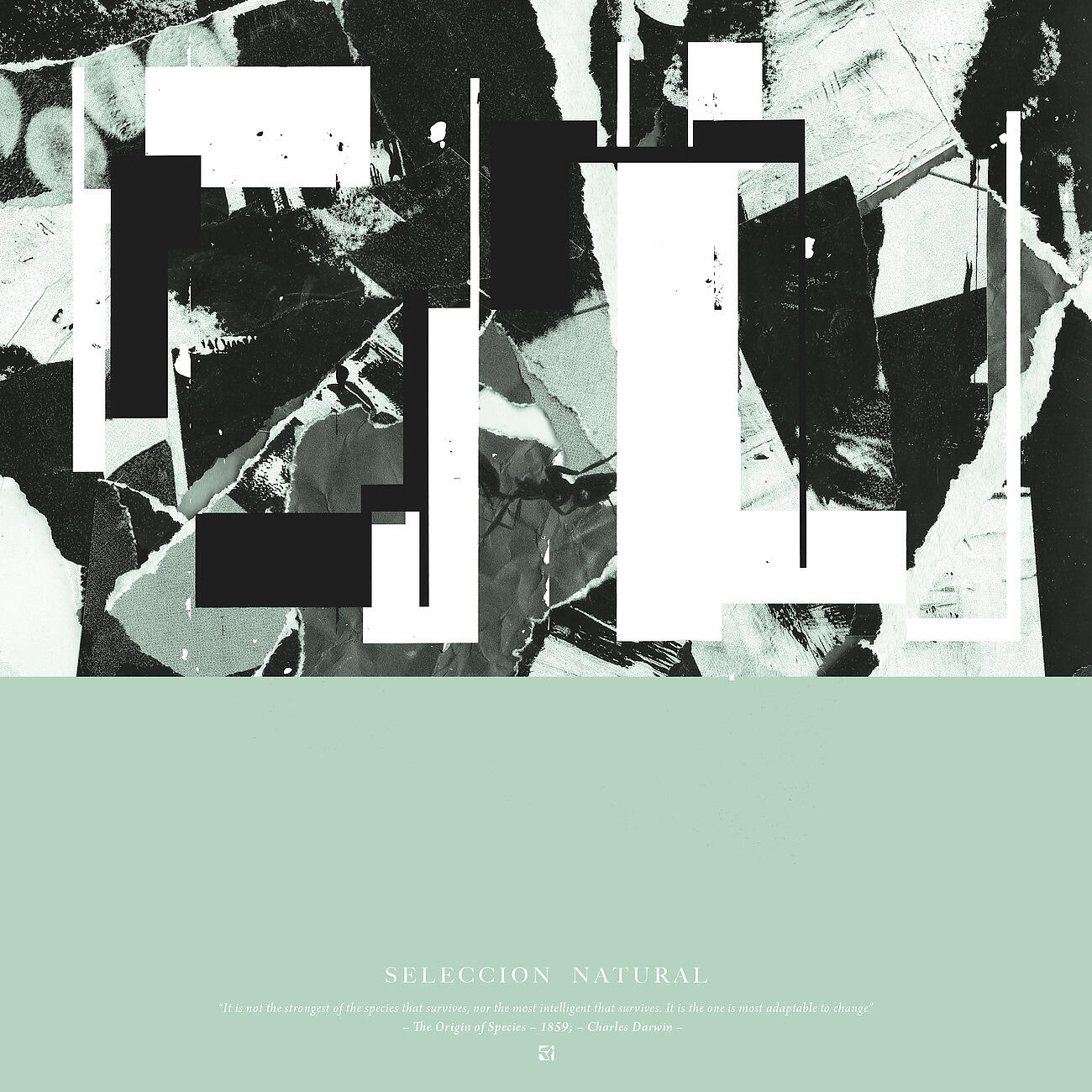 Seleccion Natural - Necton (Original mix)