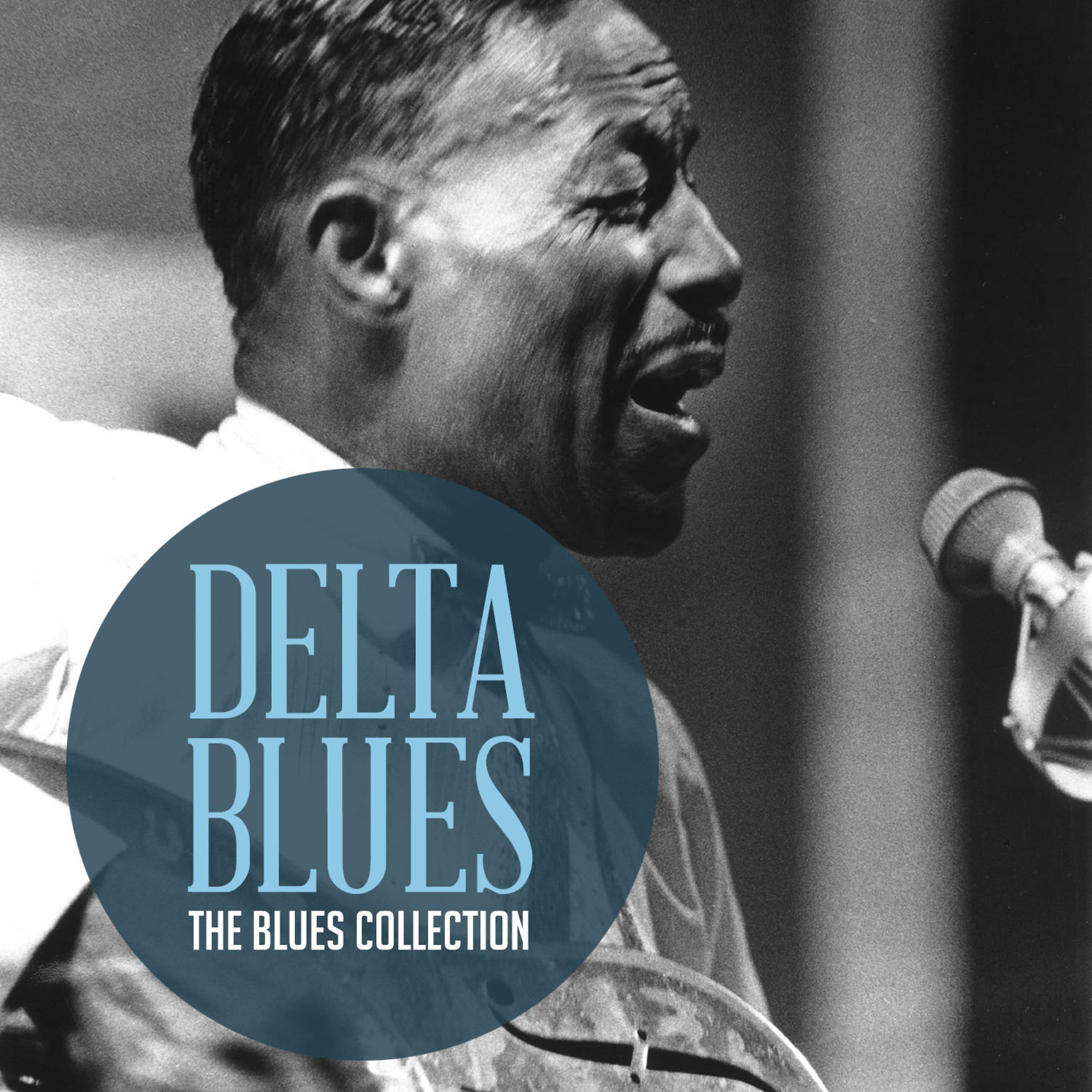 Постер альбома The Classic Blues Collection: Delta Blues
