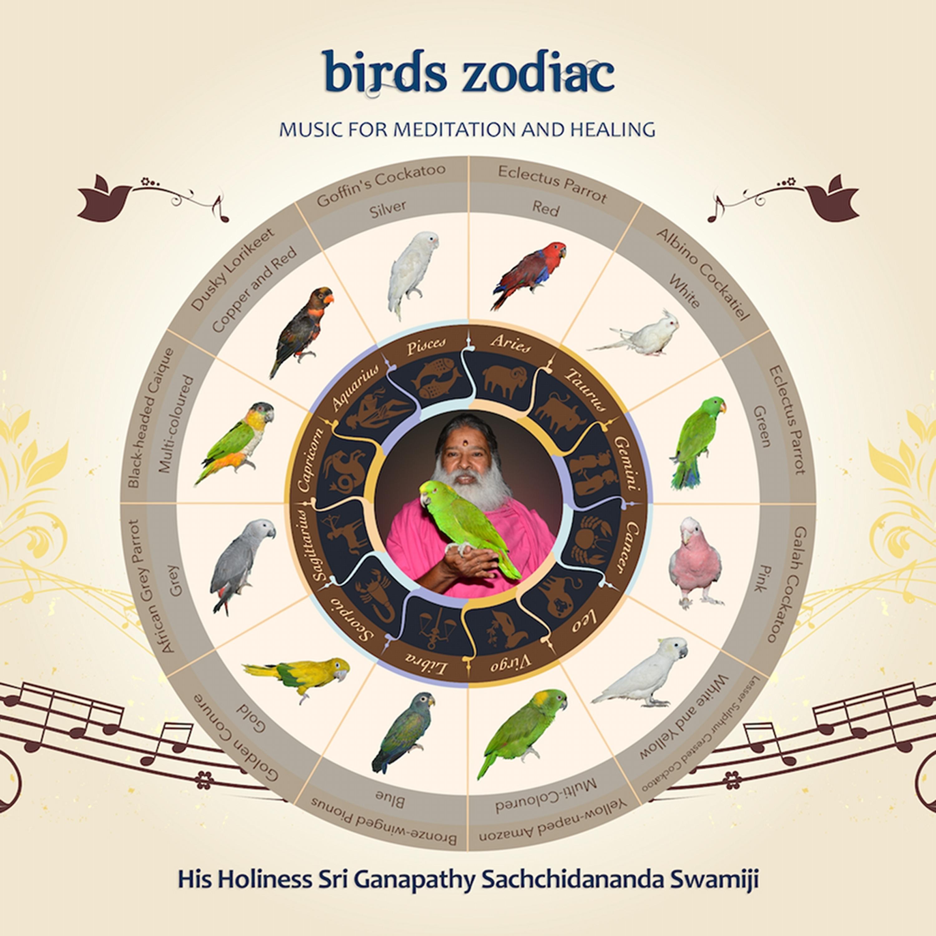 Постер альбома Birds Zodiac: Music for Meditation and Healing