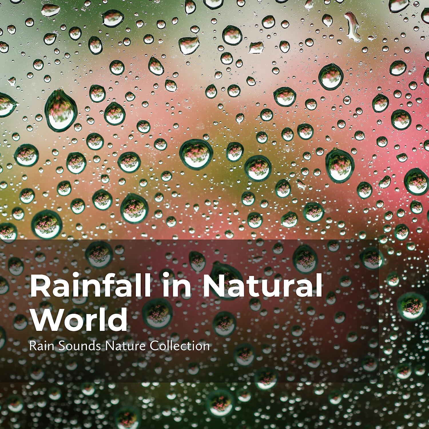 Sleepy Rain - Terrestrial Fall of Rain