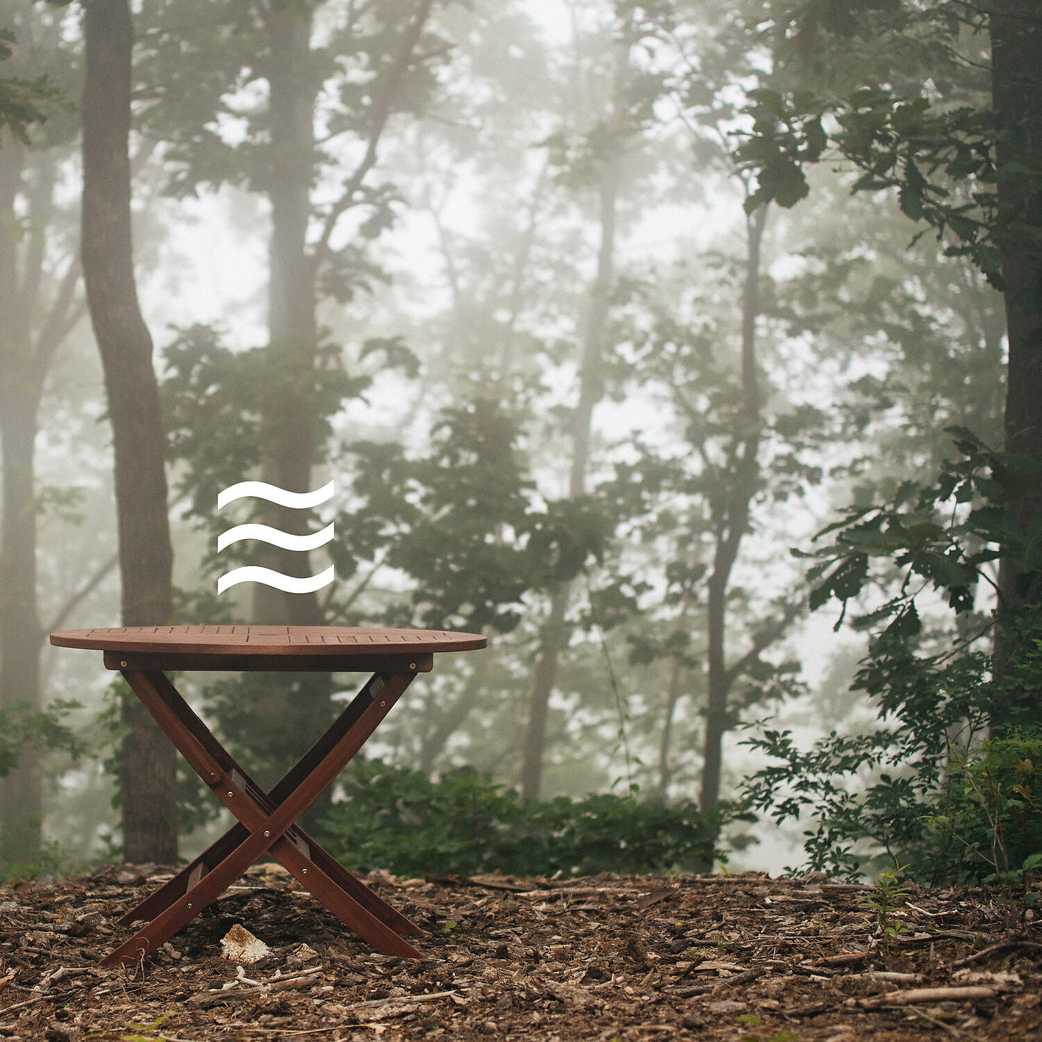Simple Deep Forest and Birds Calming Noises - Calming Mellow Forest for Calmful Relax