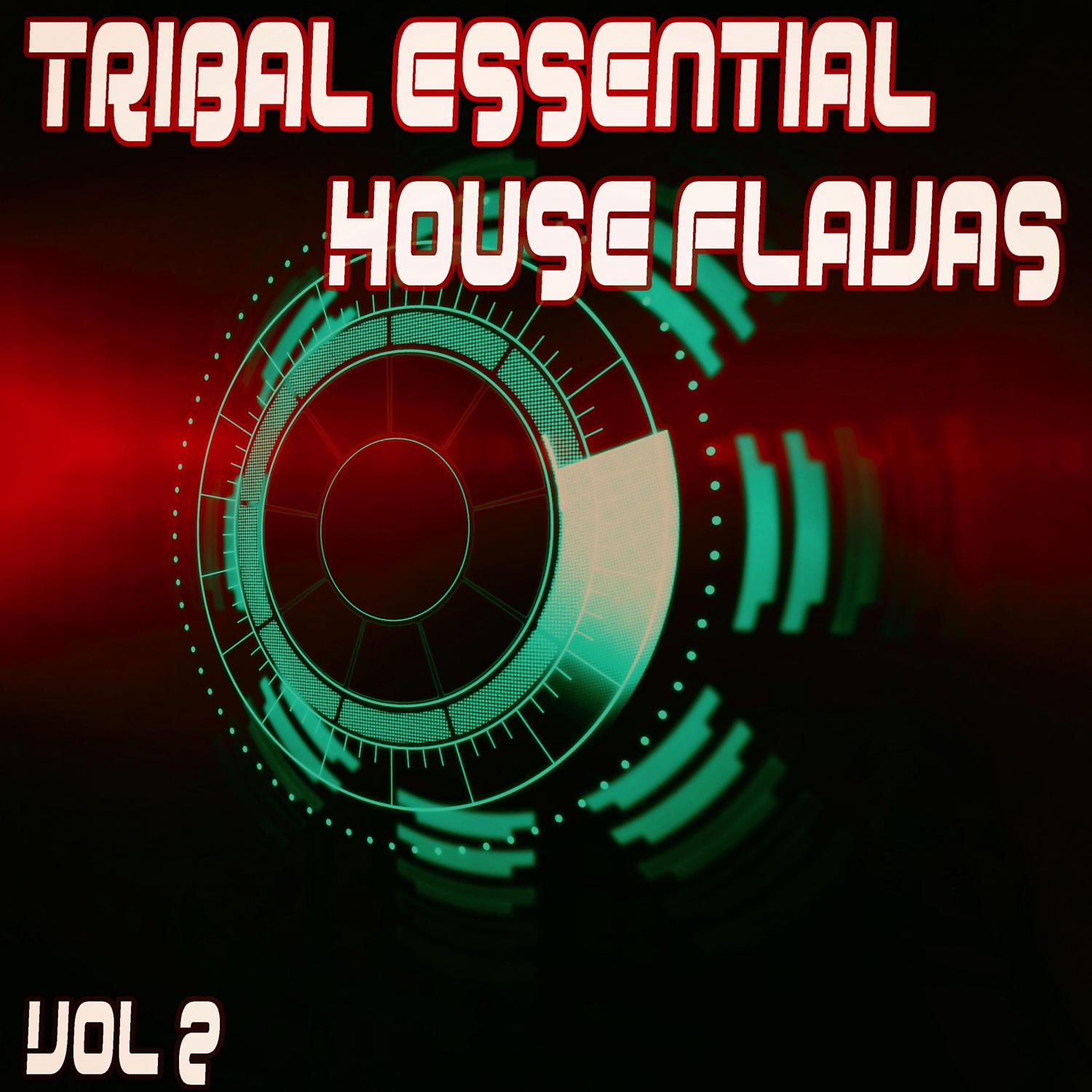 Постер альбома Tribal Essential House Flavas, Vol. 2