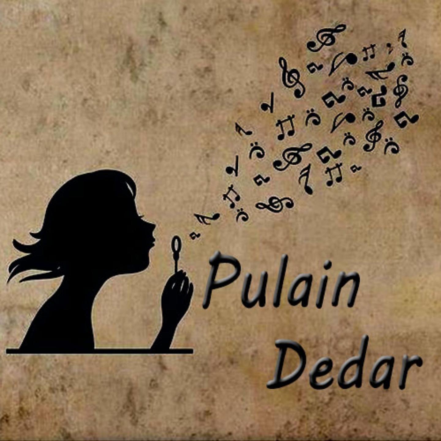 Постер альбома Pulain Dedar, Vol. 16