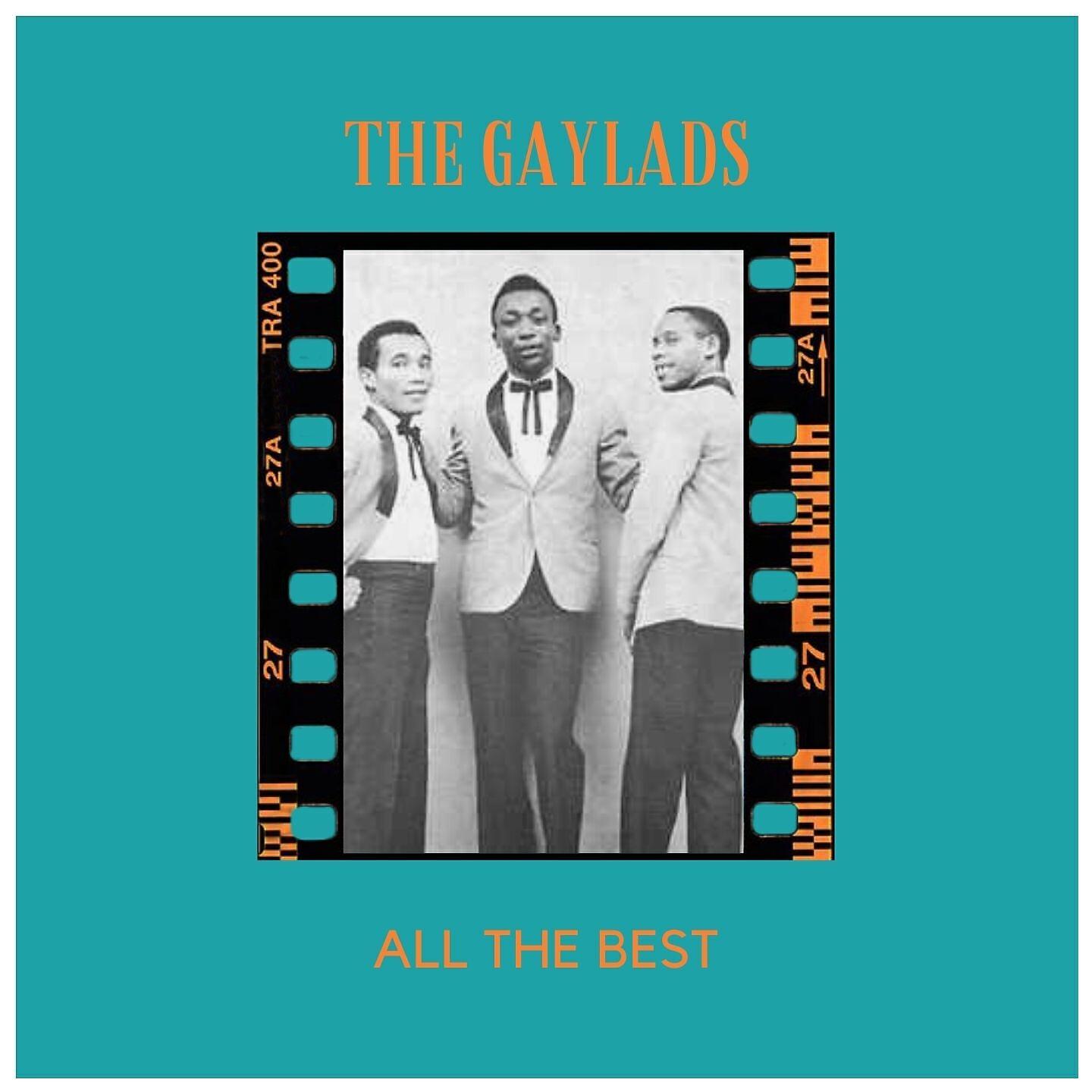 The Gaylads - Sly Mongoose