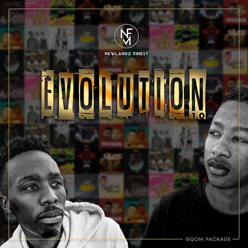 Постер альбома Evolution 1.0 (Gqom Package)
