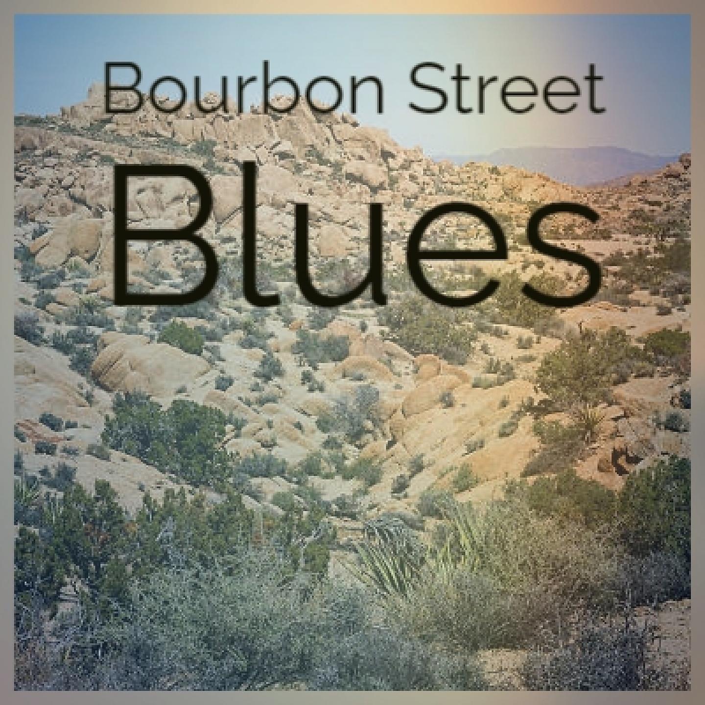 Постер альбома Bourbon Street Blues