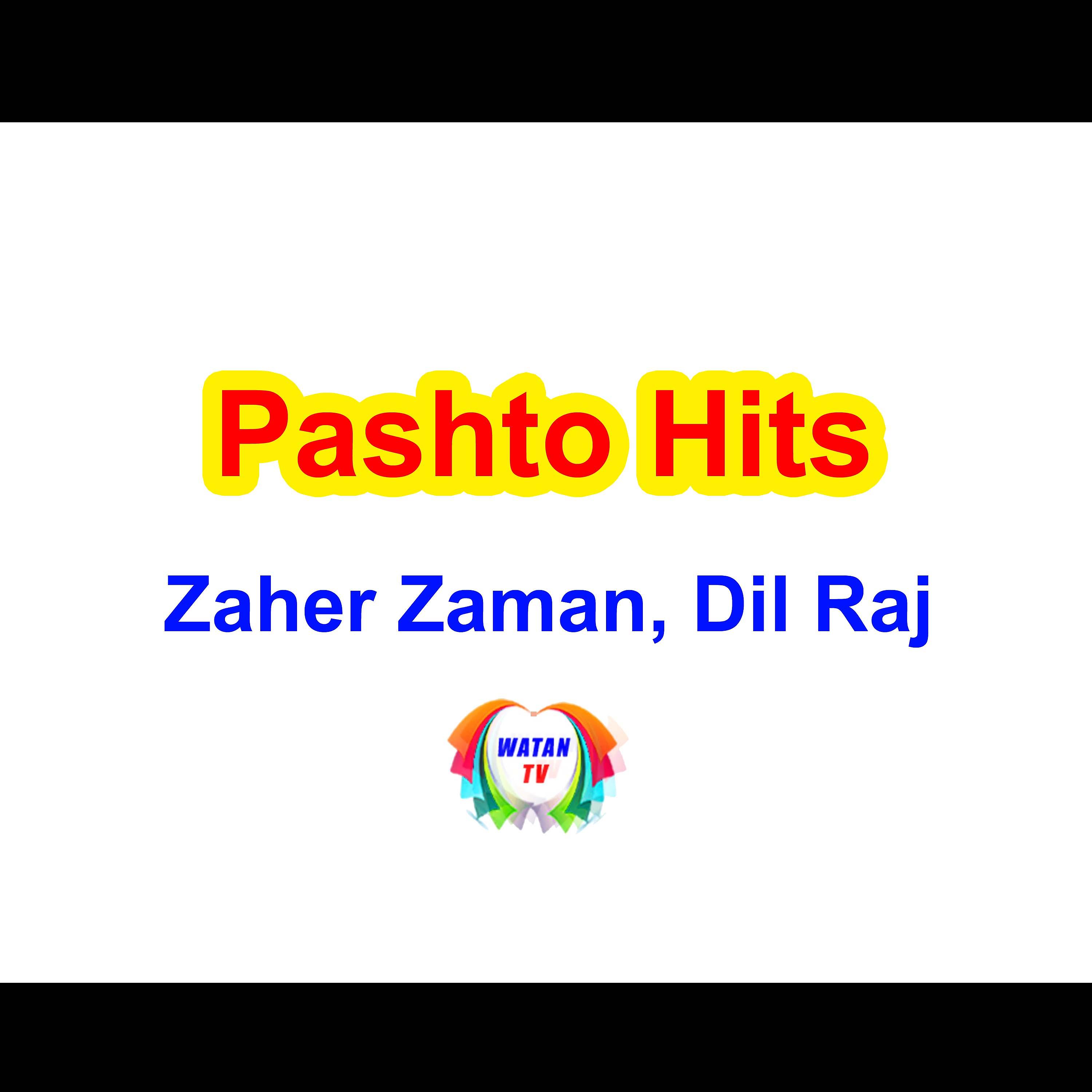 Постер альбома Pashto Hits
