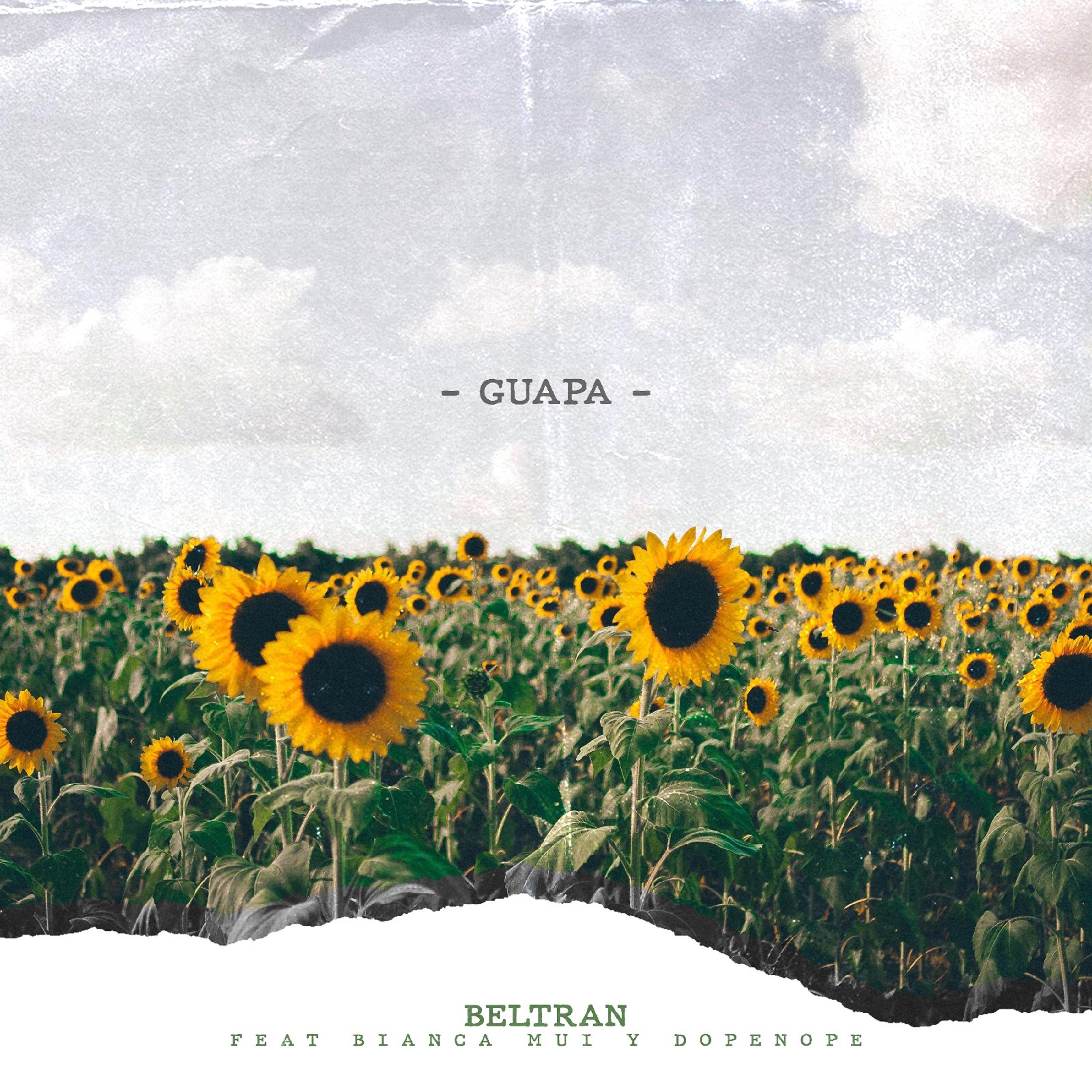 Постер альбома Guapa
