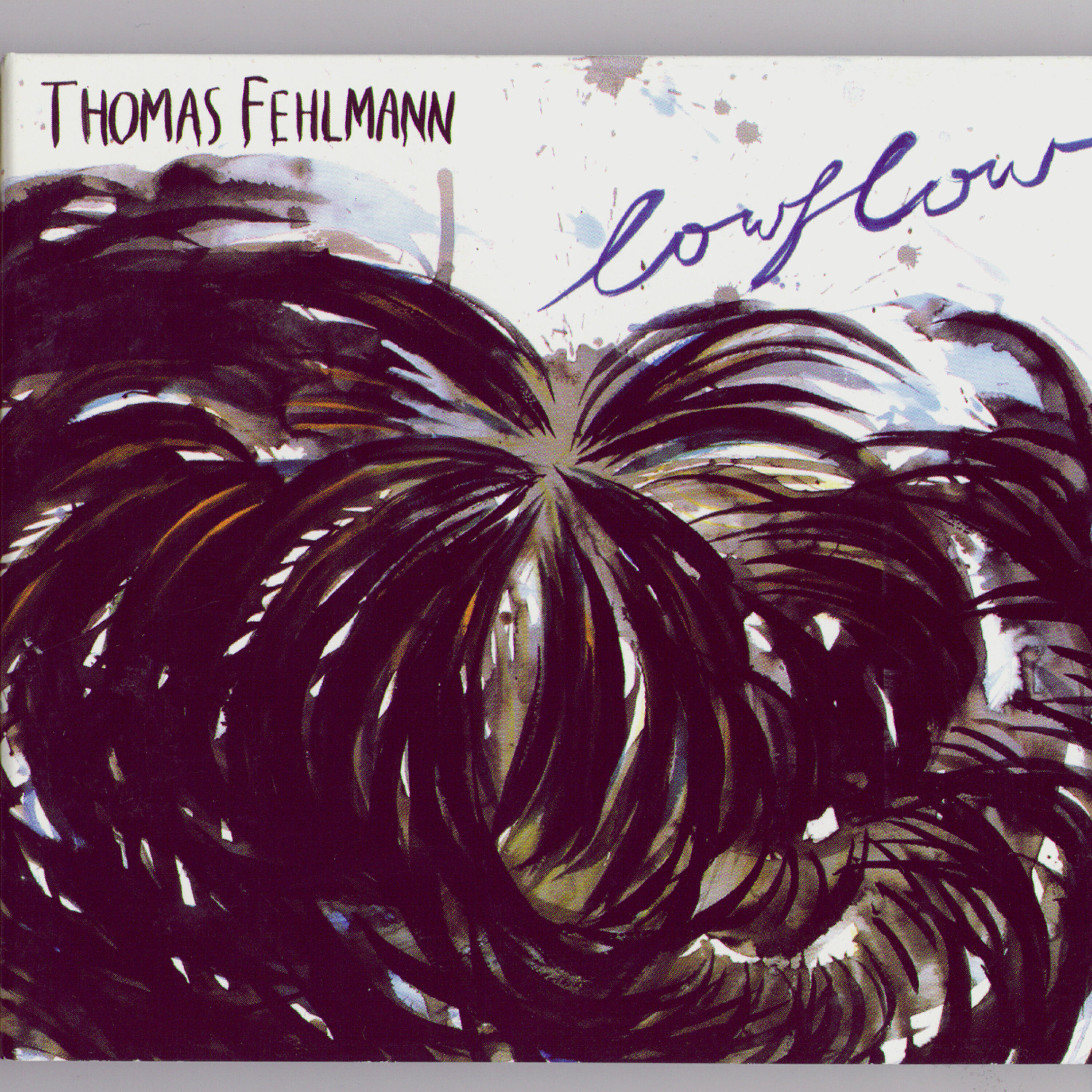 Thomas Fehlmann - Intertwine