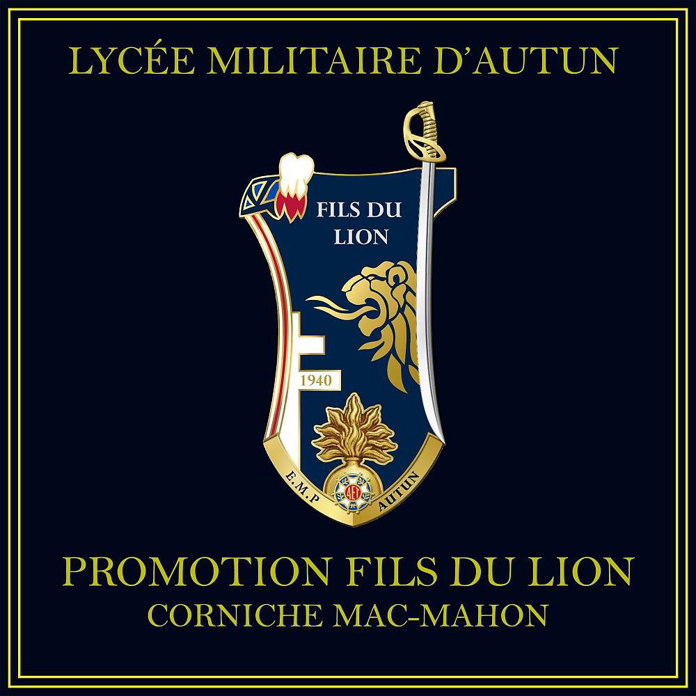 Постер альбома Promotion fils du lion