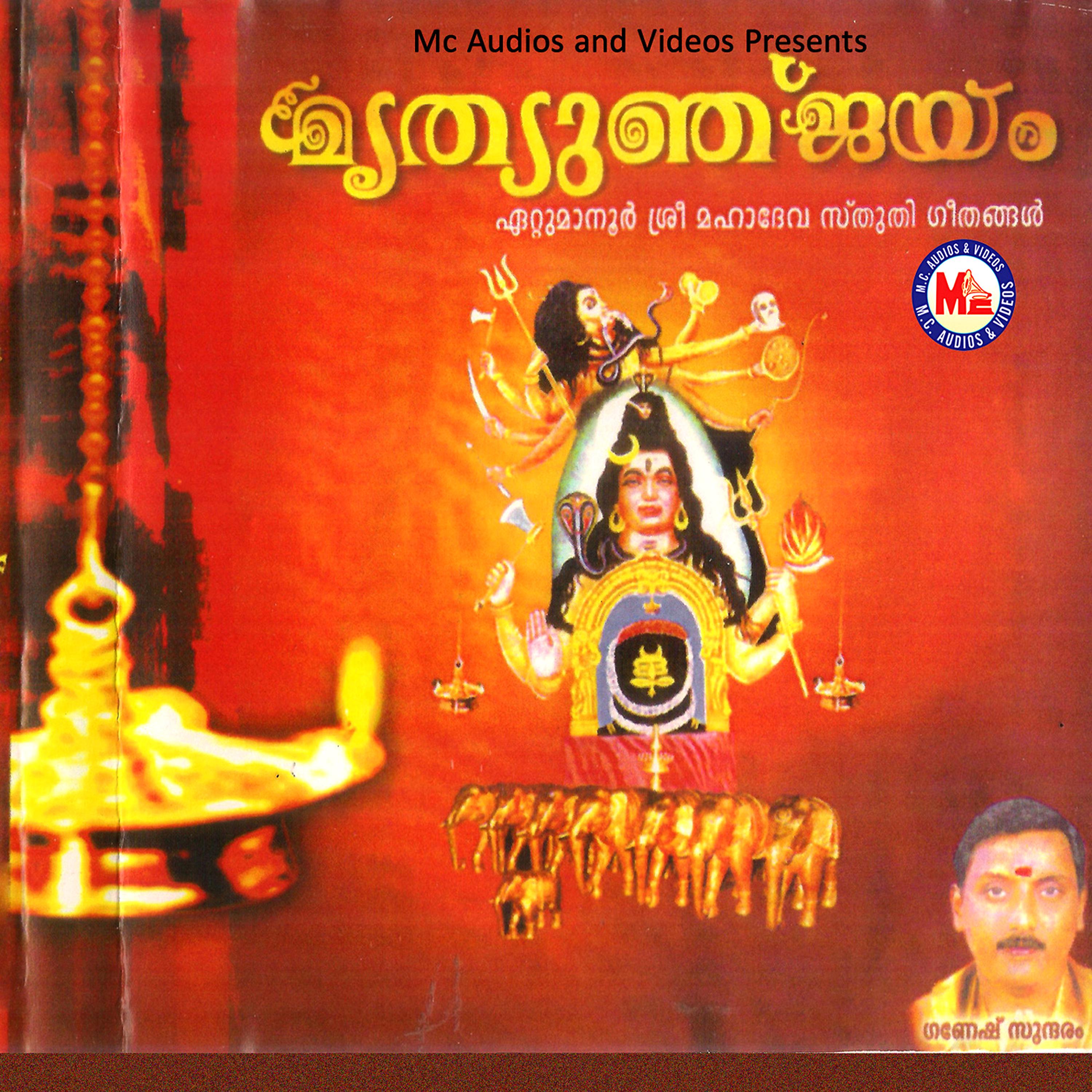Постер альбома Mruthyunjayam