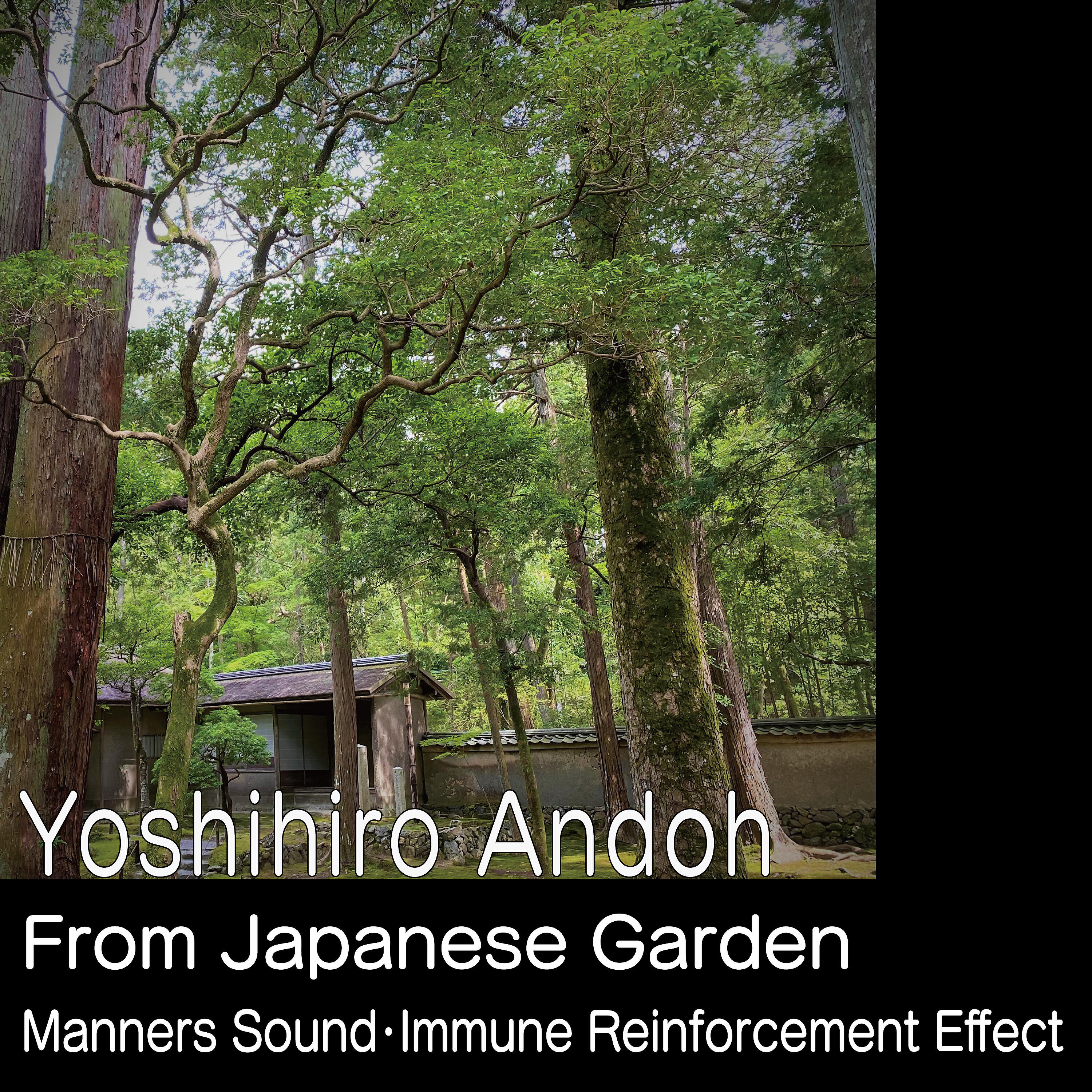 Yoshihiro Andoh - Clouds Over the Moon (MS Immunity Mix)